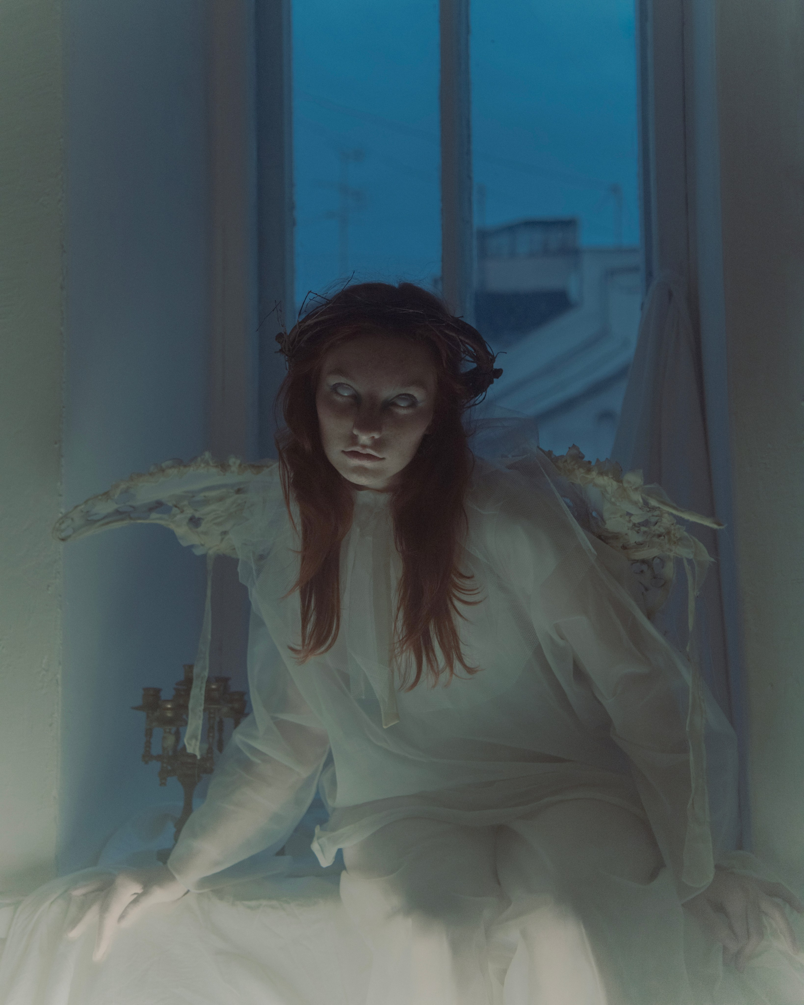 Мотылек. Фотограф Anita Mivchas