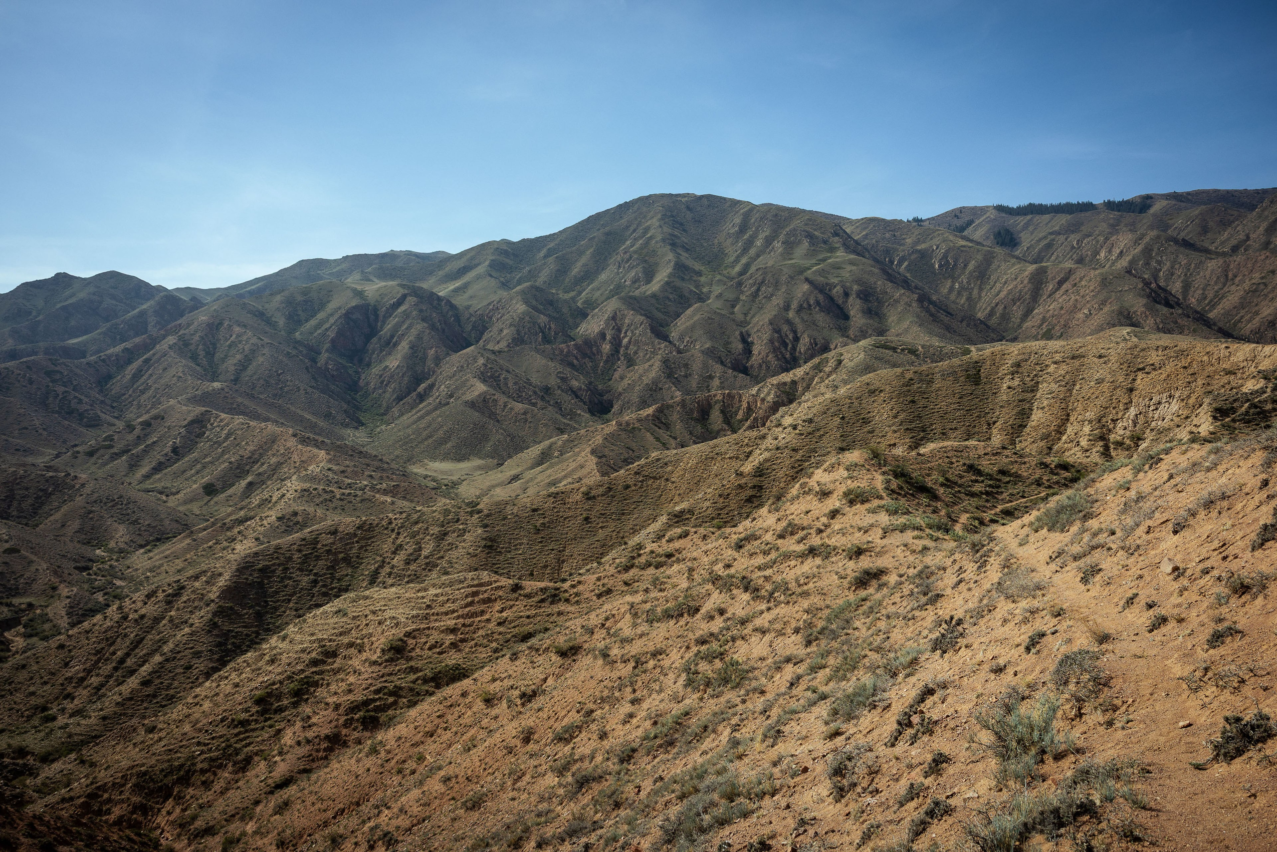 Кыргызстан (весна 2025). Фотограф Виноградов Константин