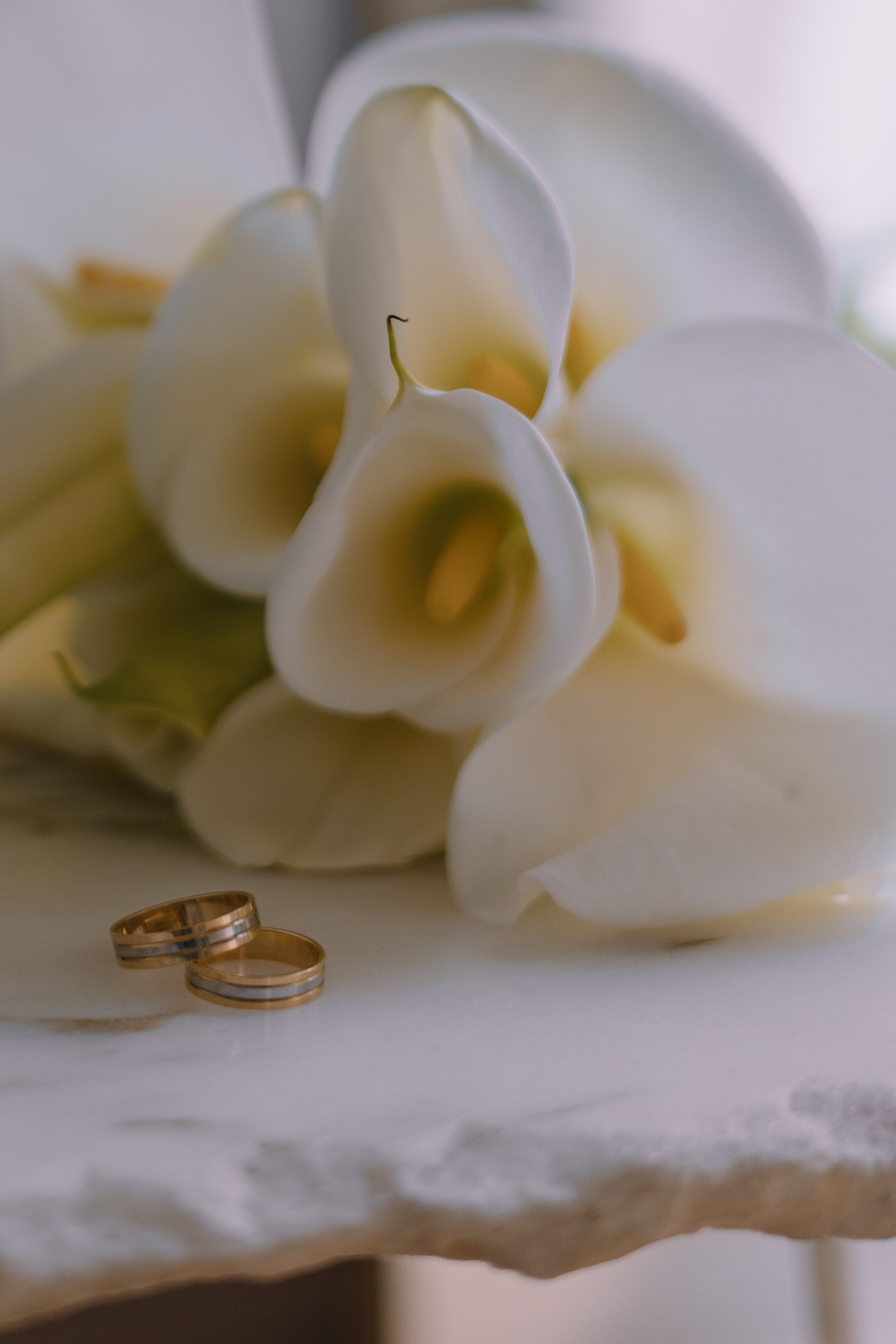 Алексей & Анастасия