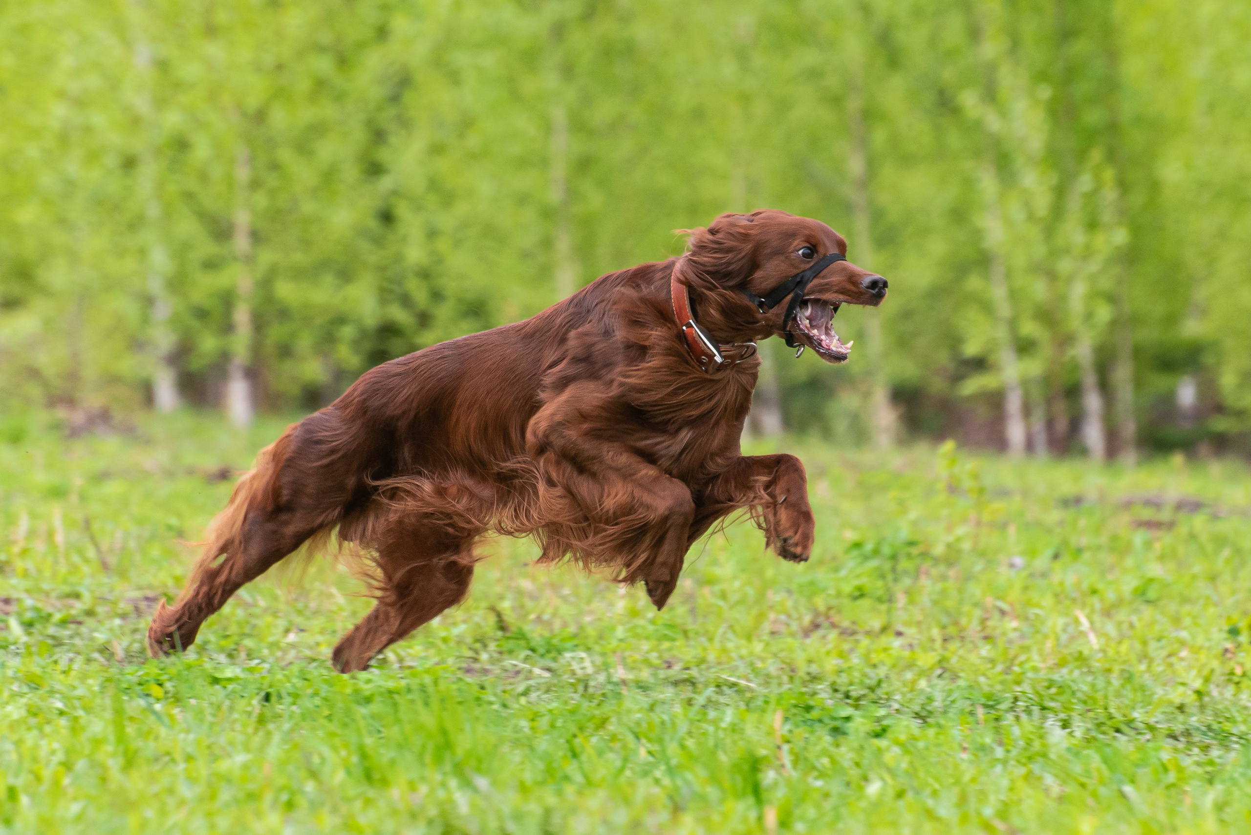 Фотографии с Курсинга. Фотограф Макс Огурцов в Нижнем Новгороде
