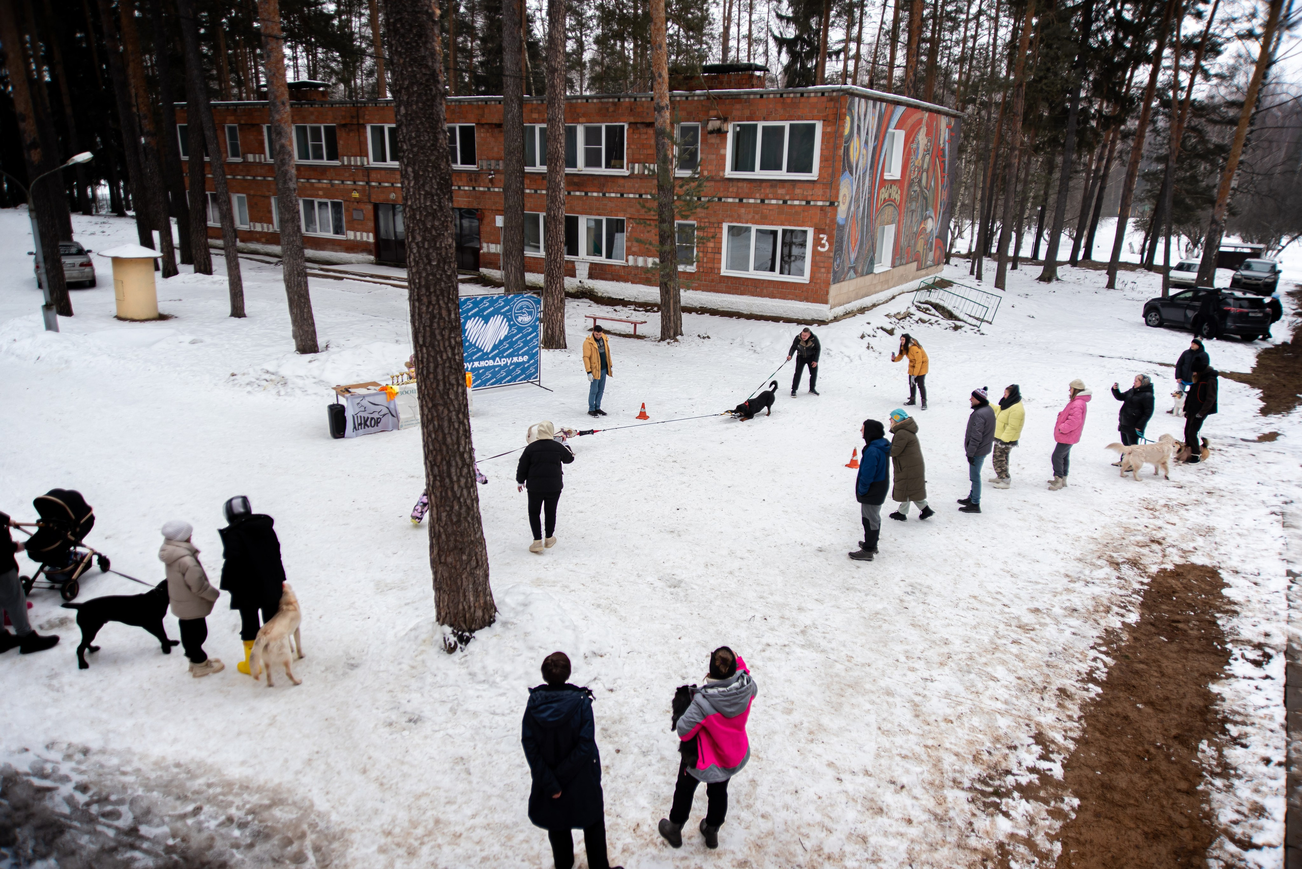 Фотосъёмка с собаками в Кинологическом лагере. Фотограф Макс Огурцов в Нижнем Новгороде