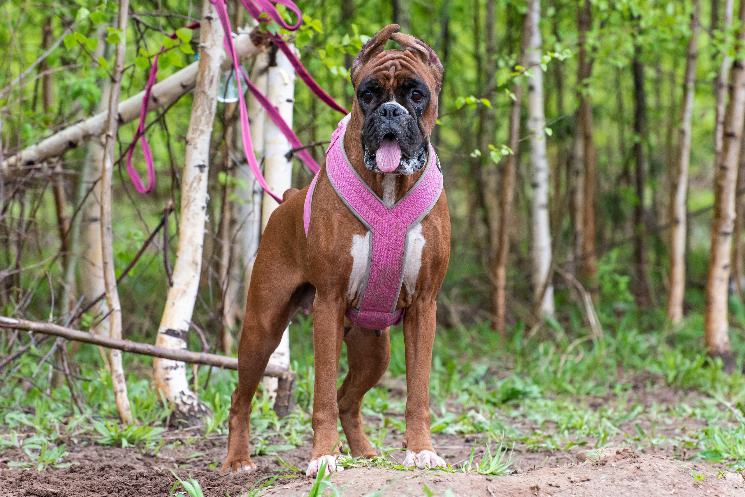 Фотографии с Курсинга. Фотограф Макс Огурцов в Нижнем Новгороде