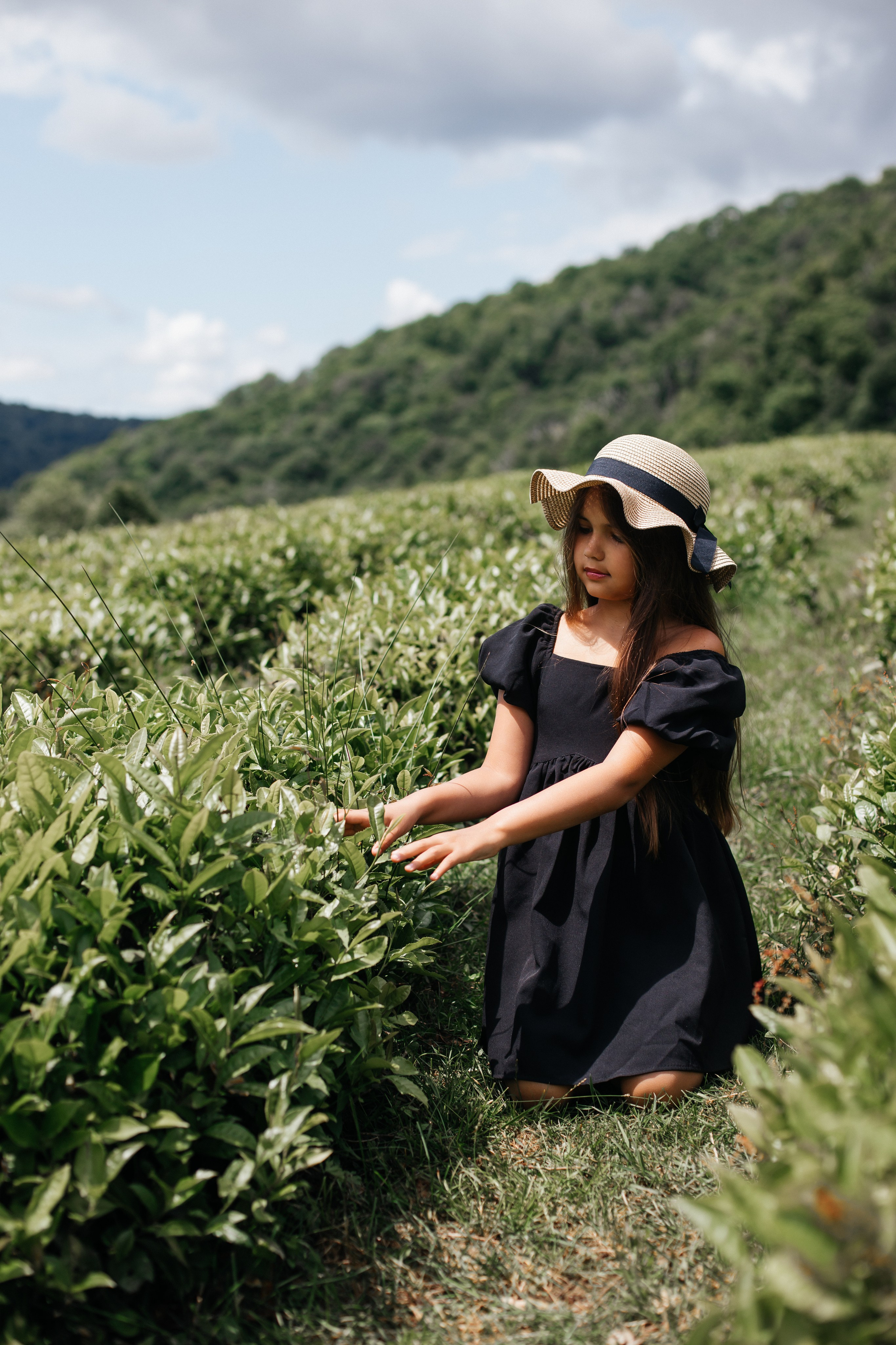 Tea plantation. Efimova Model Agency
