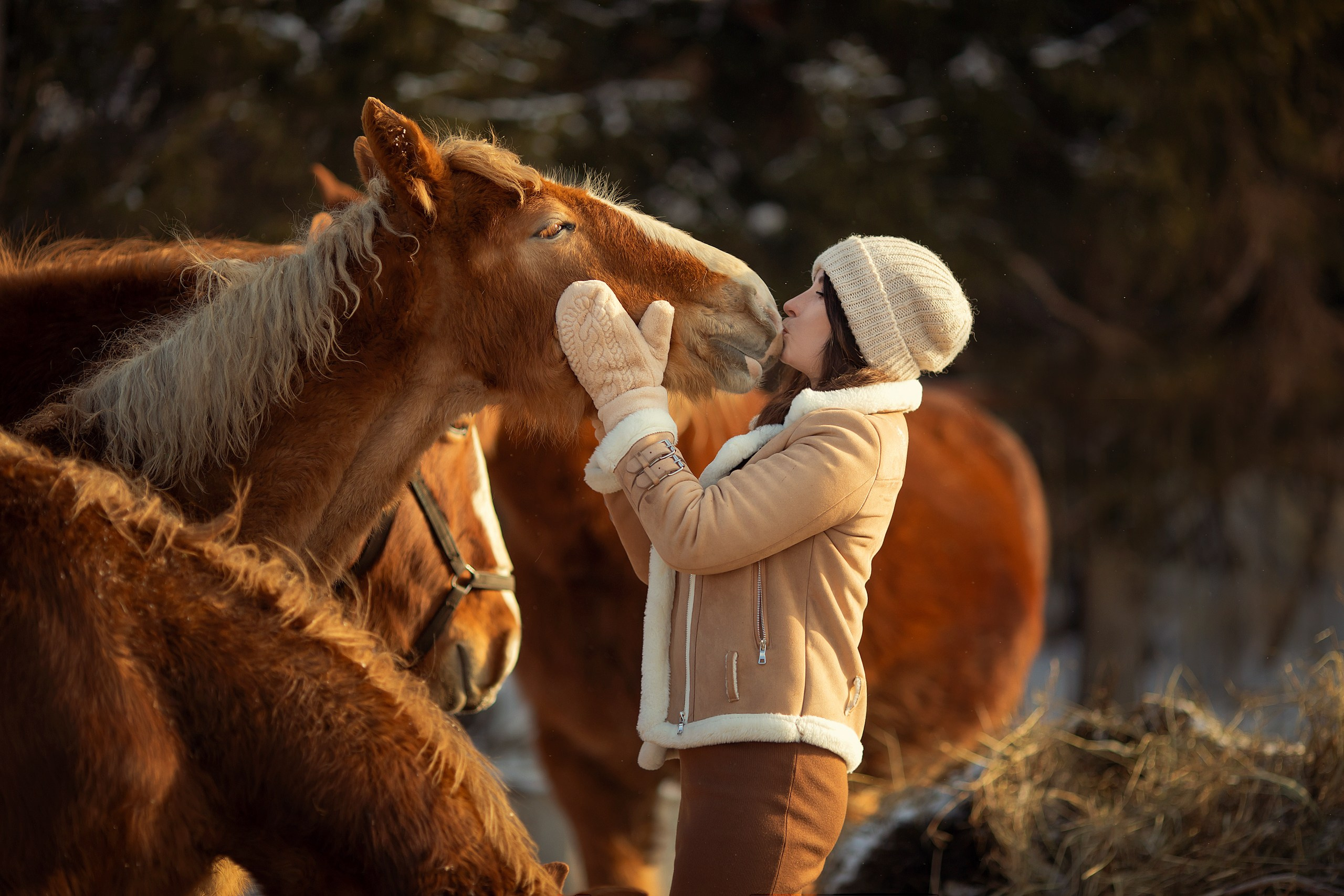Фотосессии с лошадьми. Конный фотограф Валынкина Лера