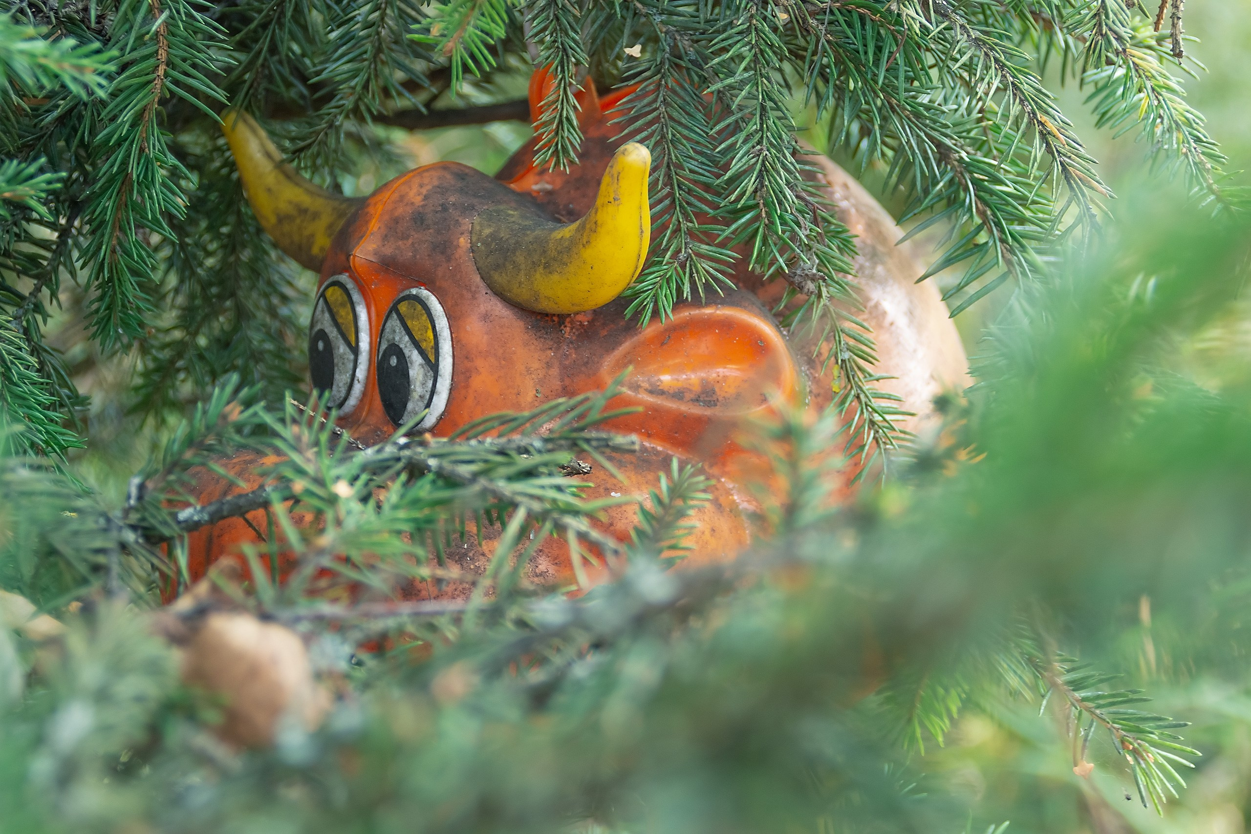 Сказка — Быль. Аmat Victoria Сuram