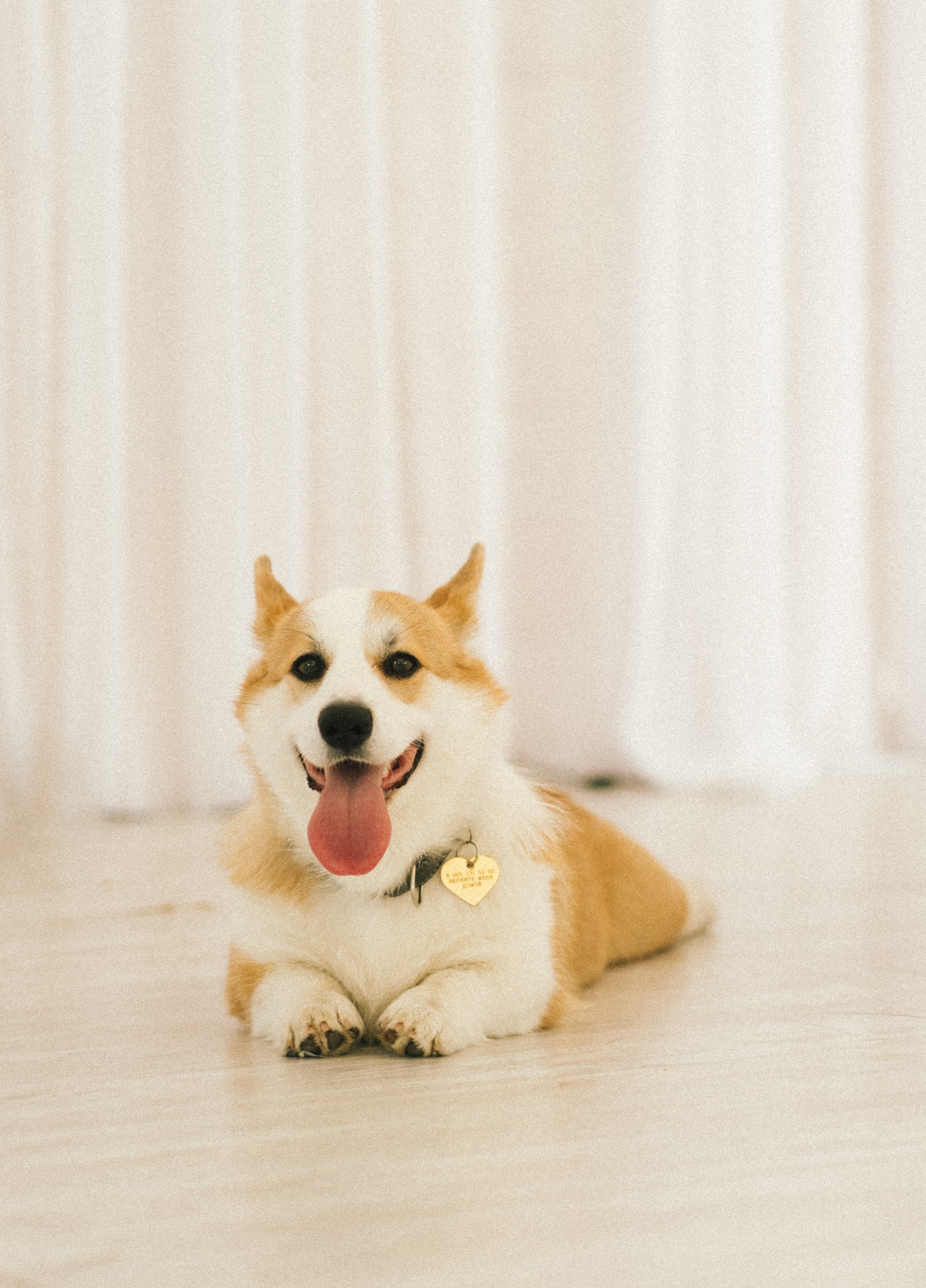 Alexandr & Valeria. Свадебный и семейный фотограф Москва