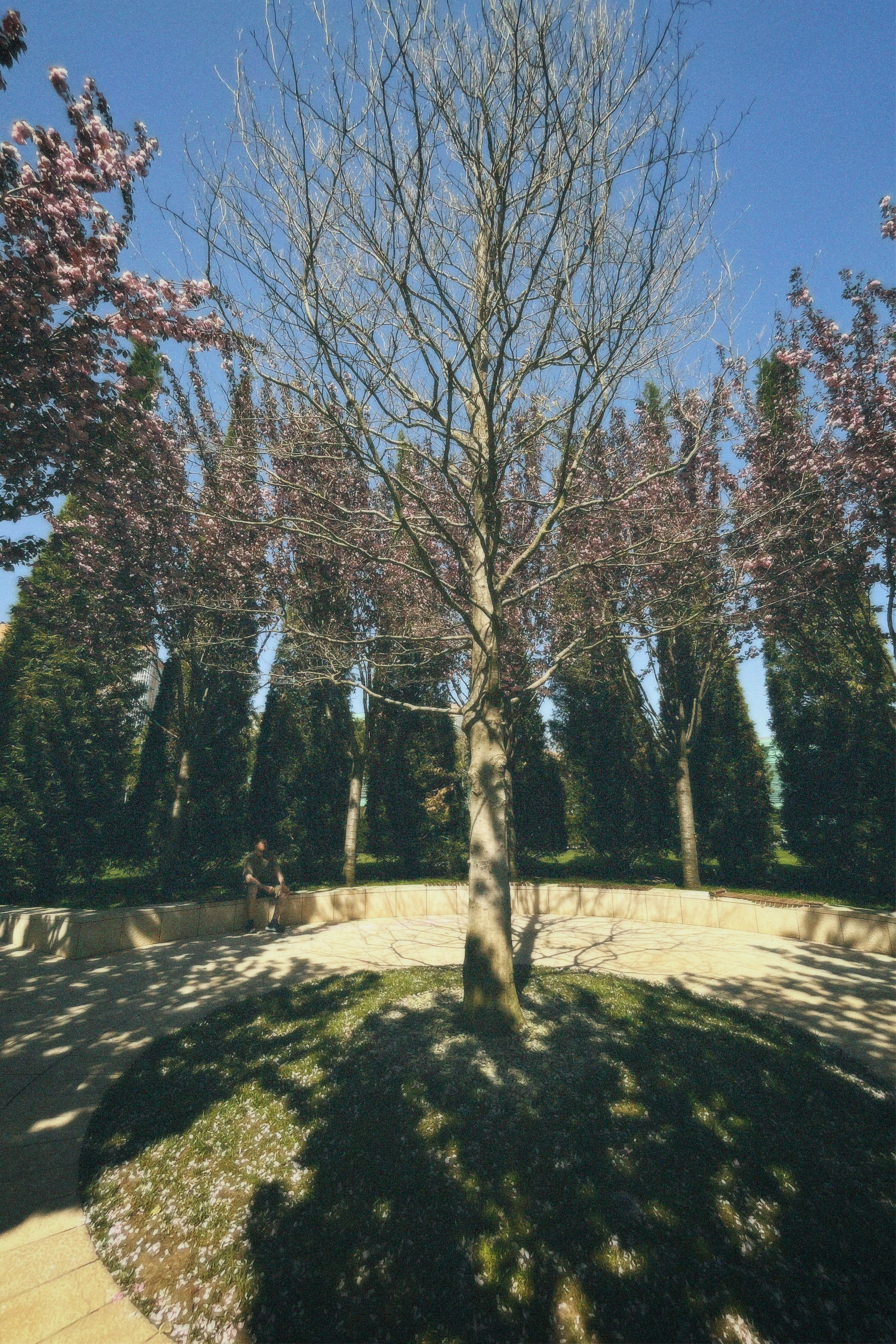 КРАСНОДАР. Портретный и лавстори фотограф в Стерлитамаке Альбина Шарт