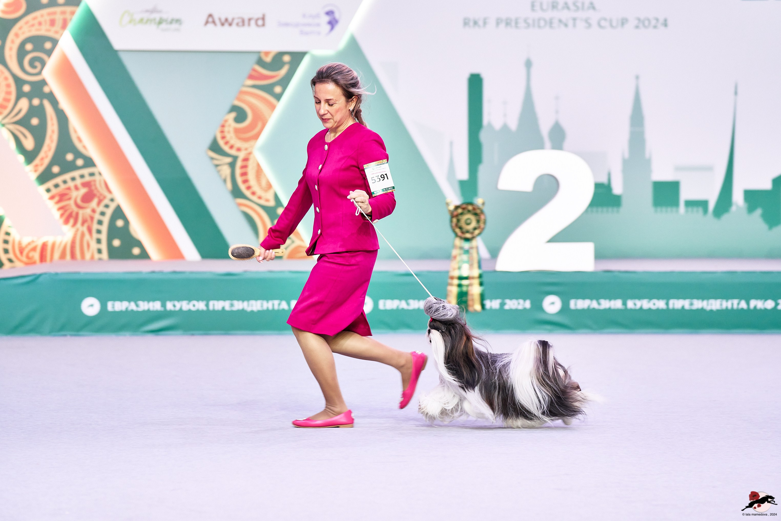 16.11.2024 «ЕВРАЗИЯ. КУБОК ПРЕЗИДЕНТА РКФ 2024»