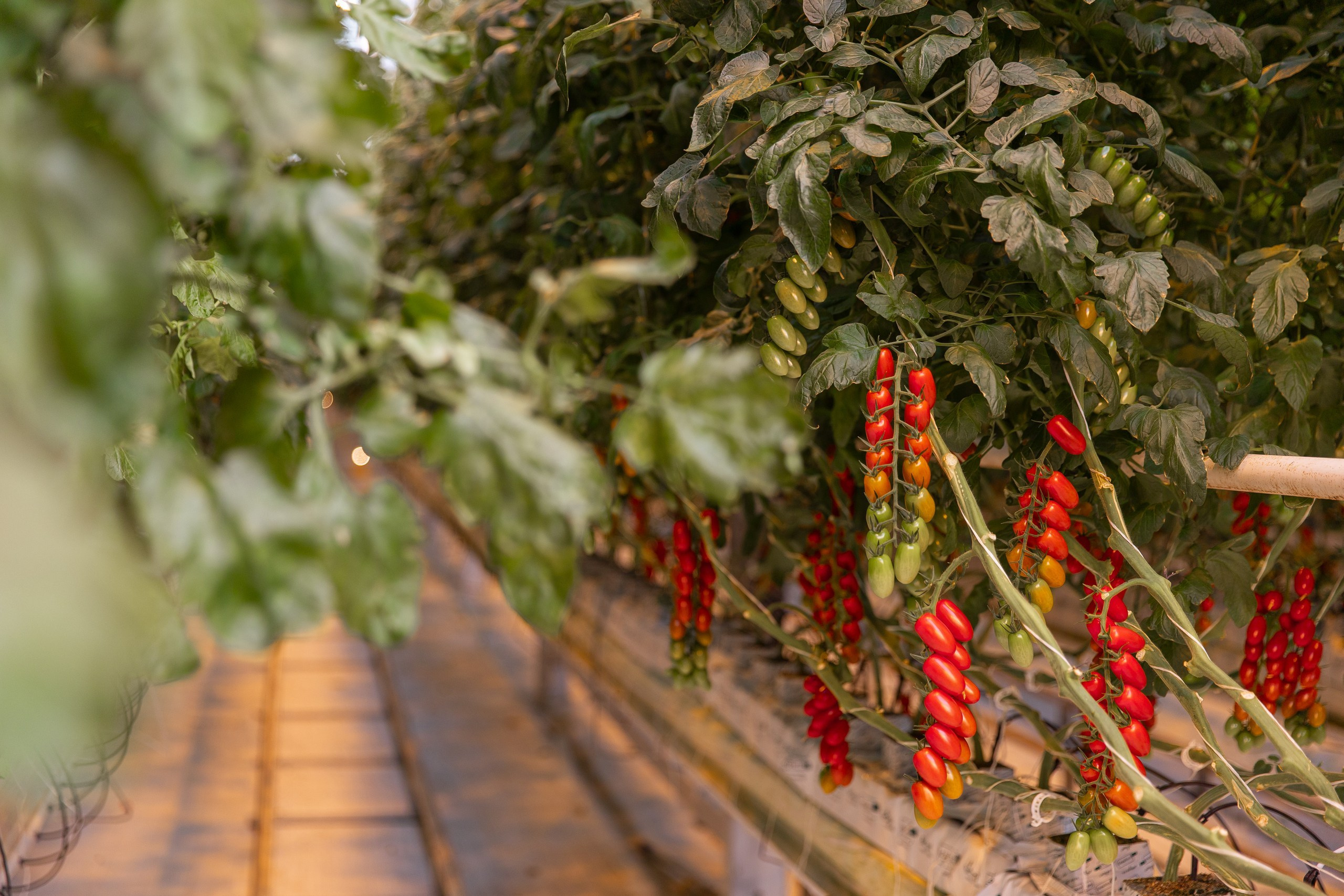 Производство. Фотограф Николай Петрушкин | Ставрополь, Москва