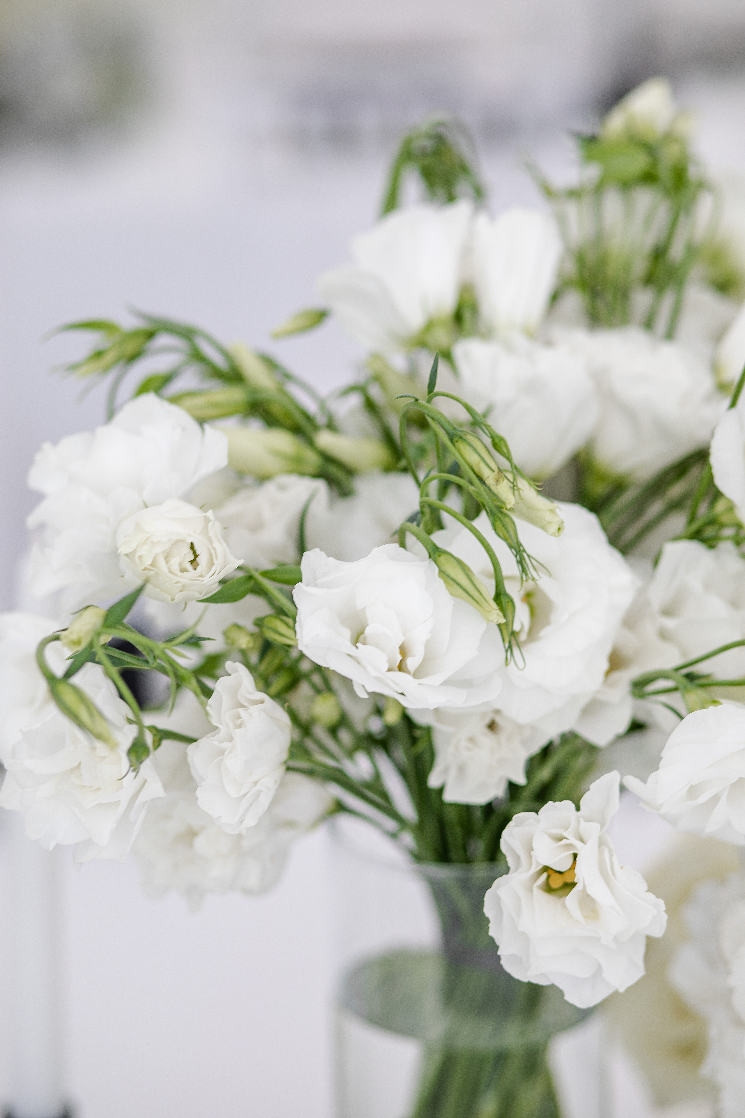 Полина и Сергей. Свадебный и портретный фотограф Екатерина Моргунова