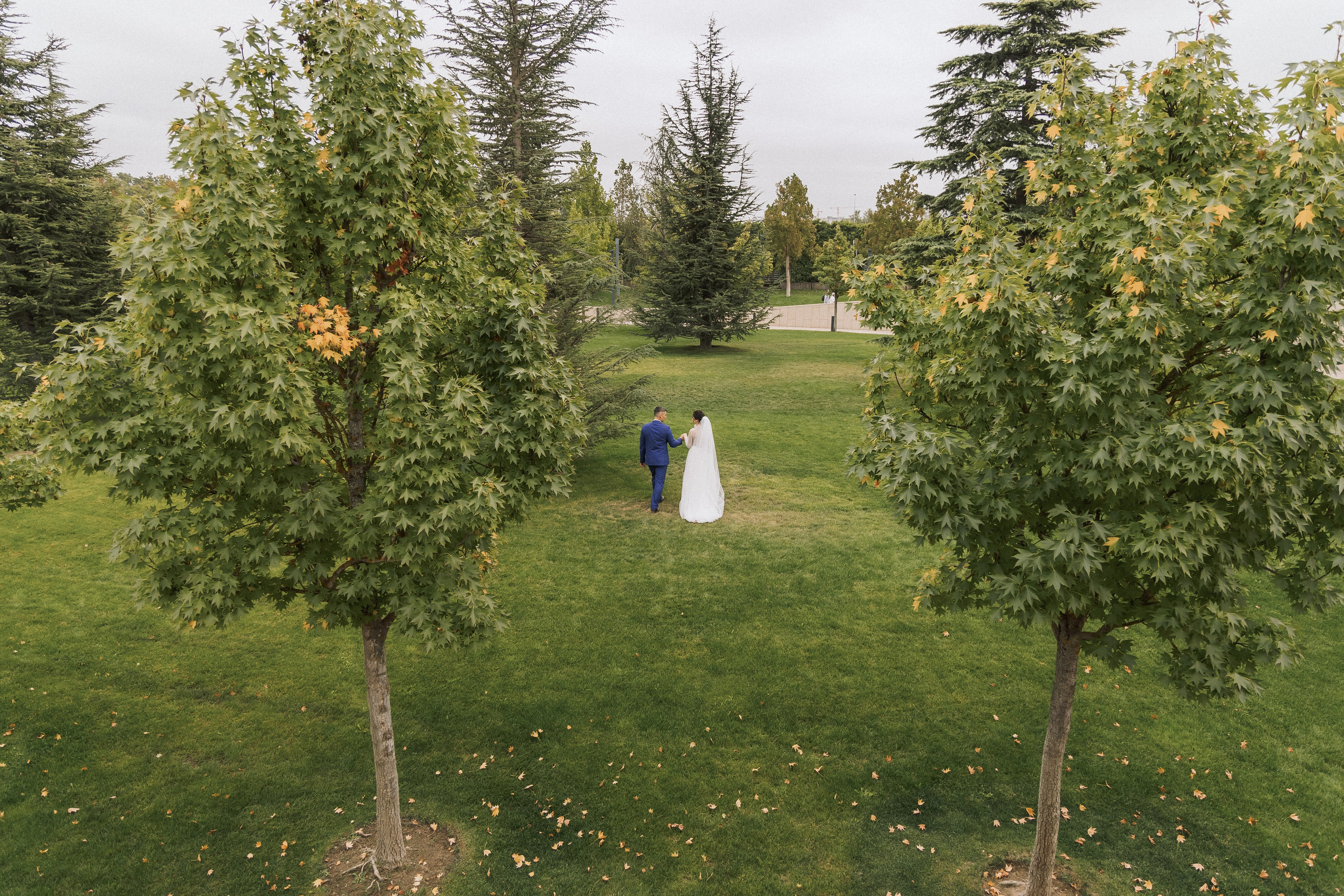 Алексей и Анастасия. Свадебная прогулка. Свадебная фотография. Арина Рубах