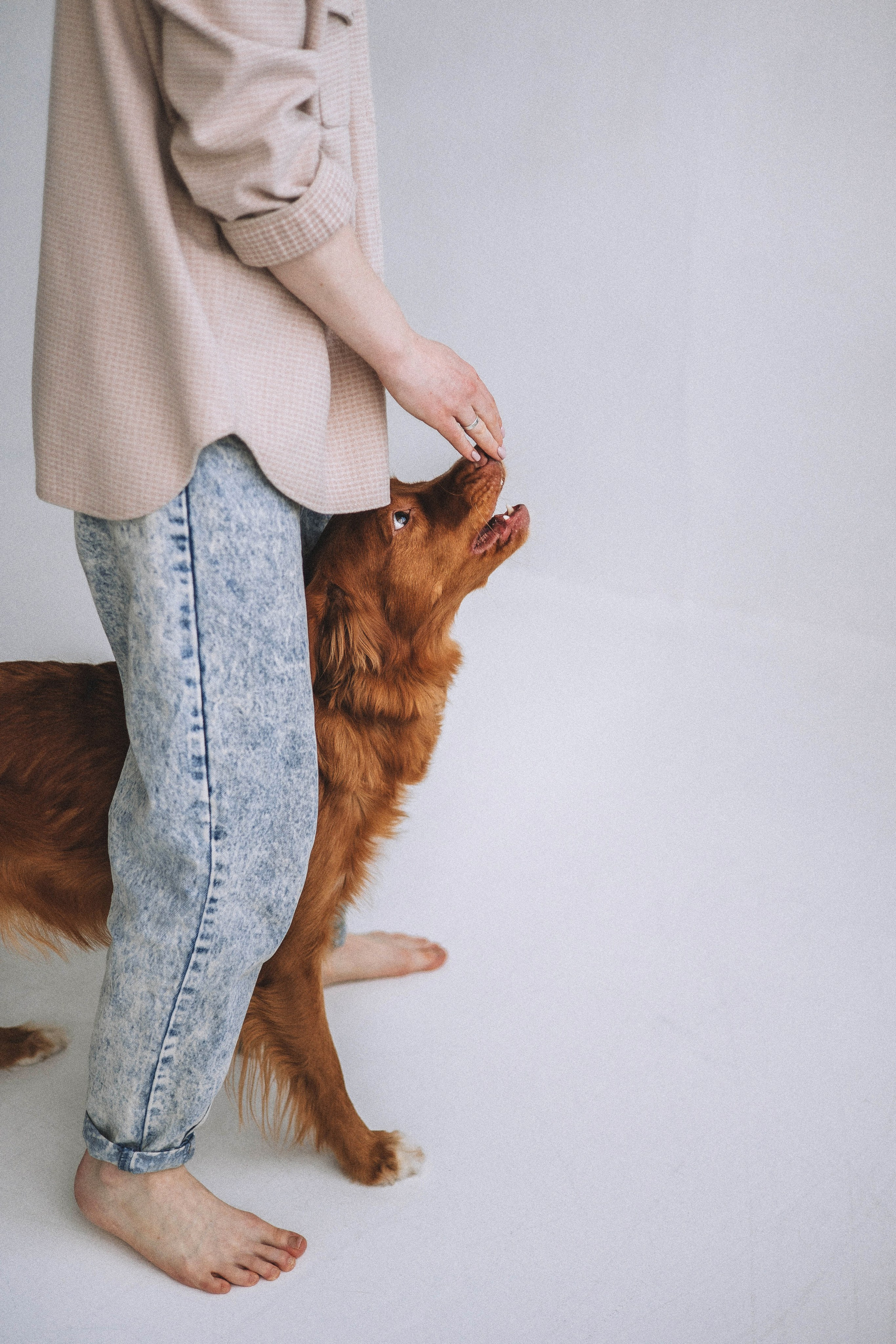 Аня и Лея. Фотограф-анималист Богданова Полина