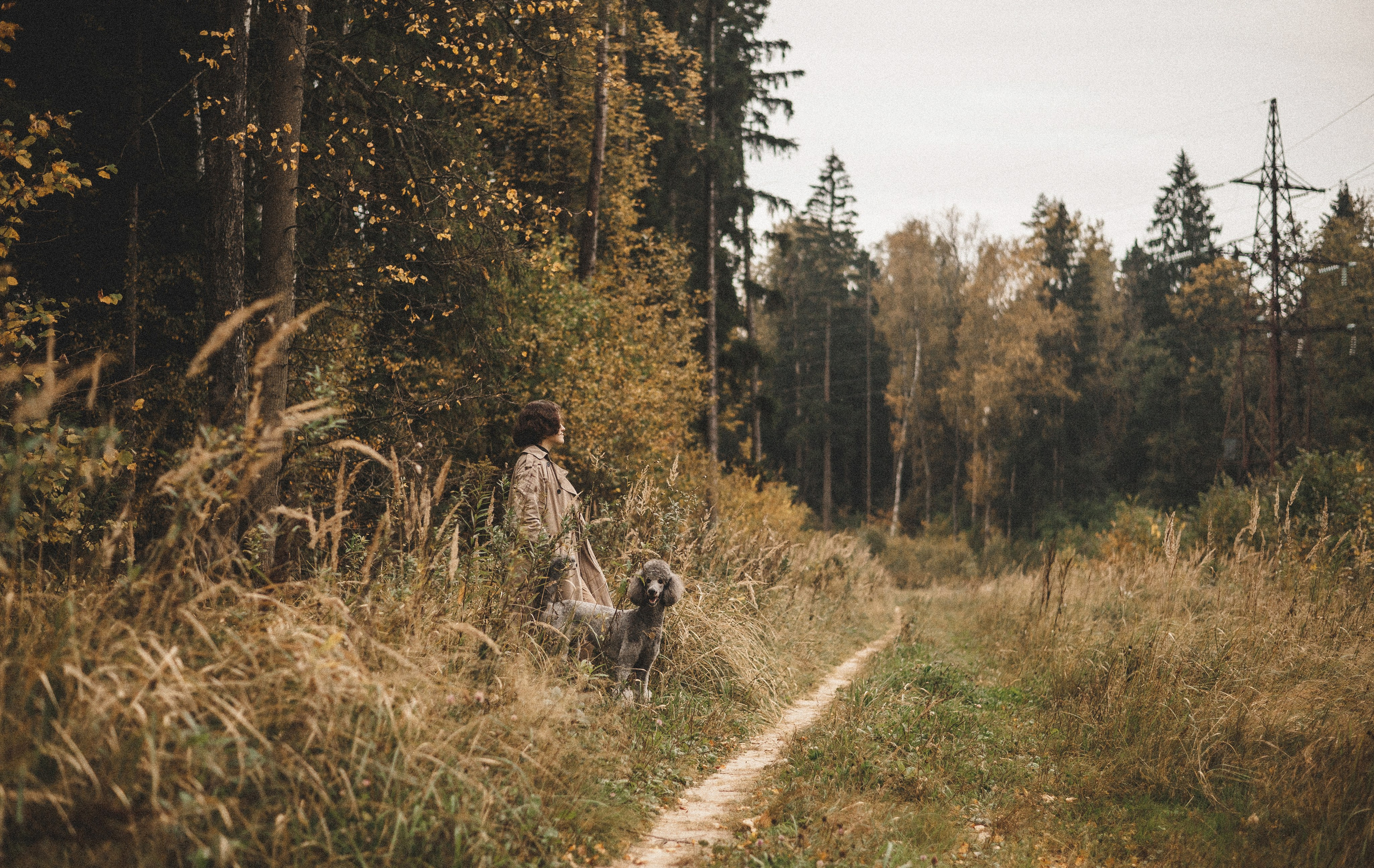 Алёна и Смоки. Фотограф-анималист Богданова Полина