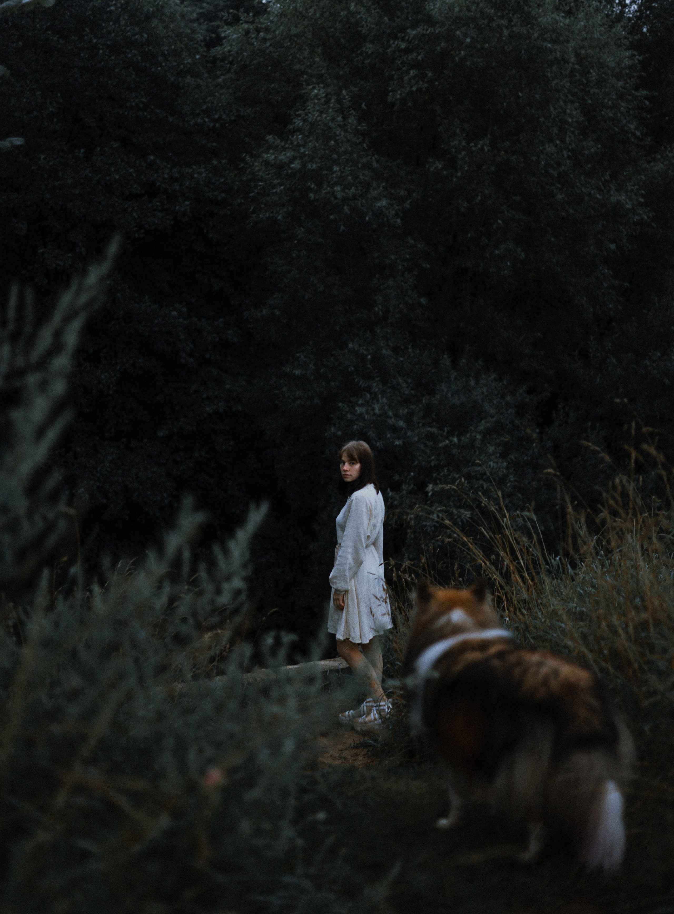 Аня и Скай. Фотограф-анималист Богданова Полина