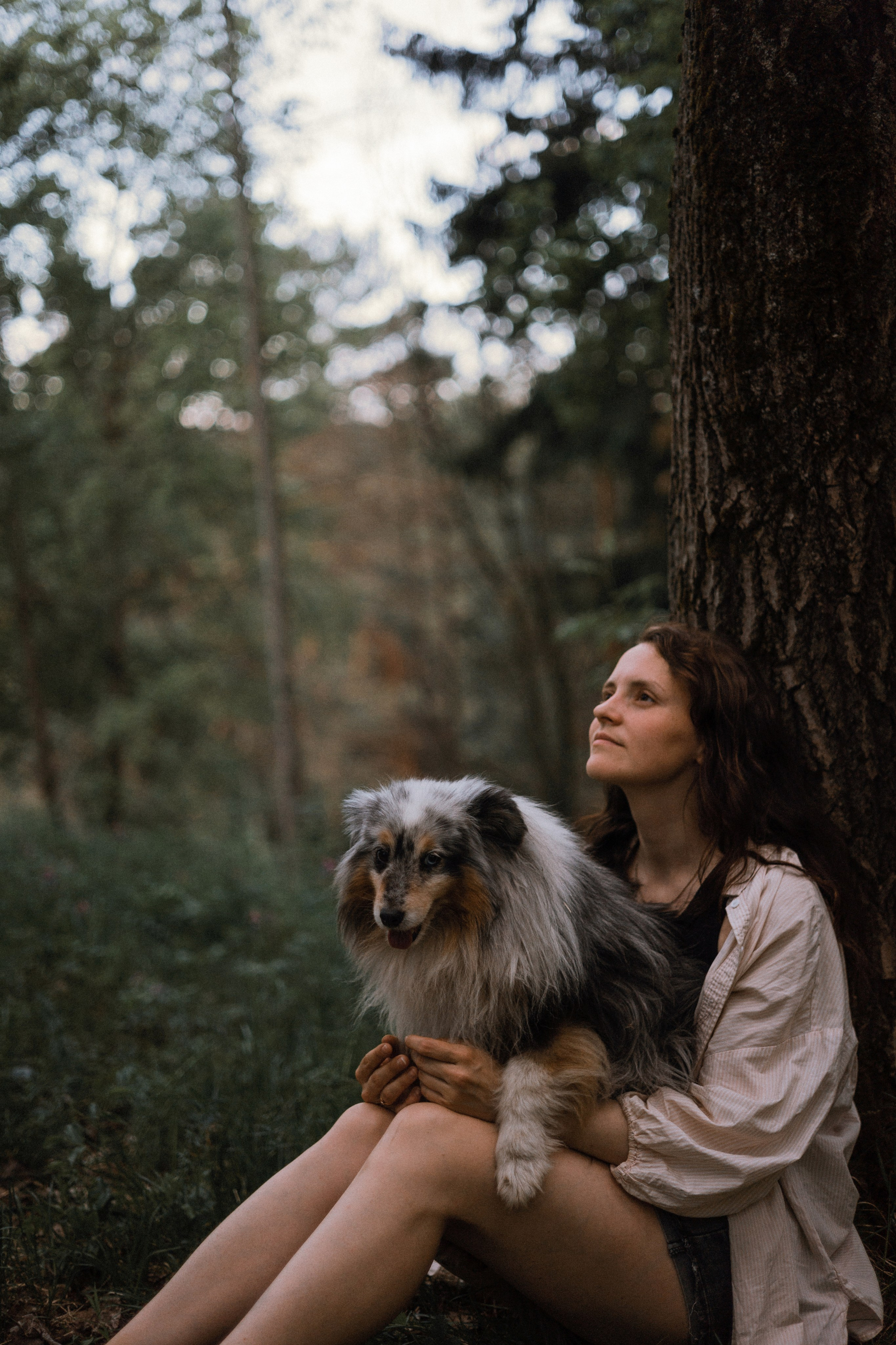 Настя, Шуня, Милка и Тигуан. Фотограф-анималист Богданова Полина