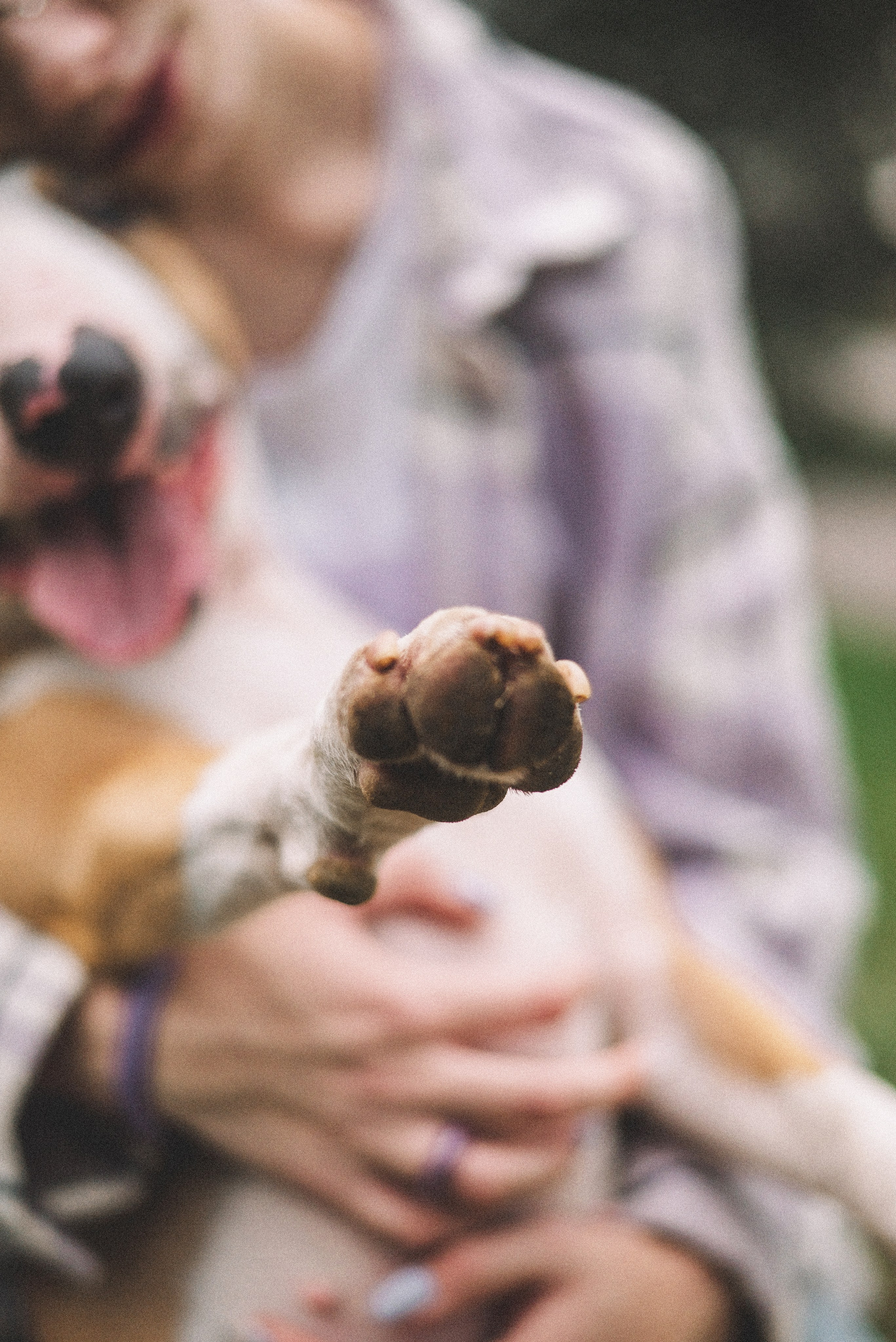 Маша и Рулька. Фотограф-анималист Богданова Полина