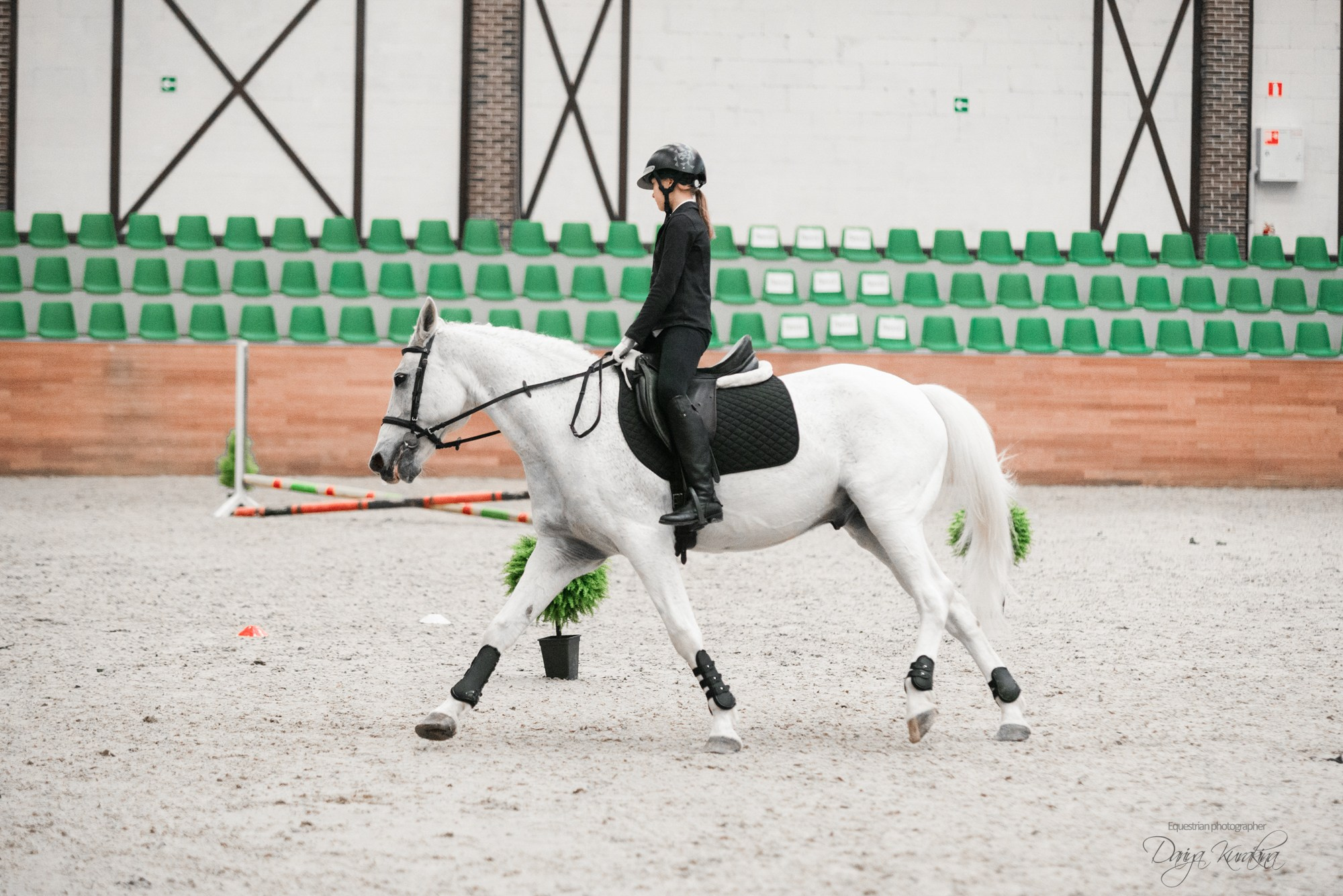 8-я международная выставка Конная Россия. Конный фотограф Куракина Дарья • Фотосессии с лошадьми