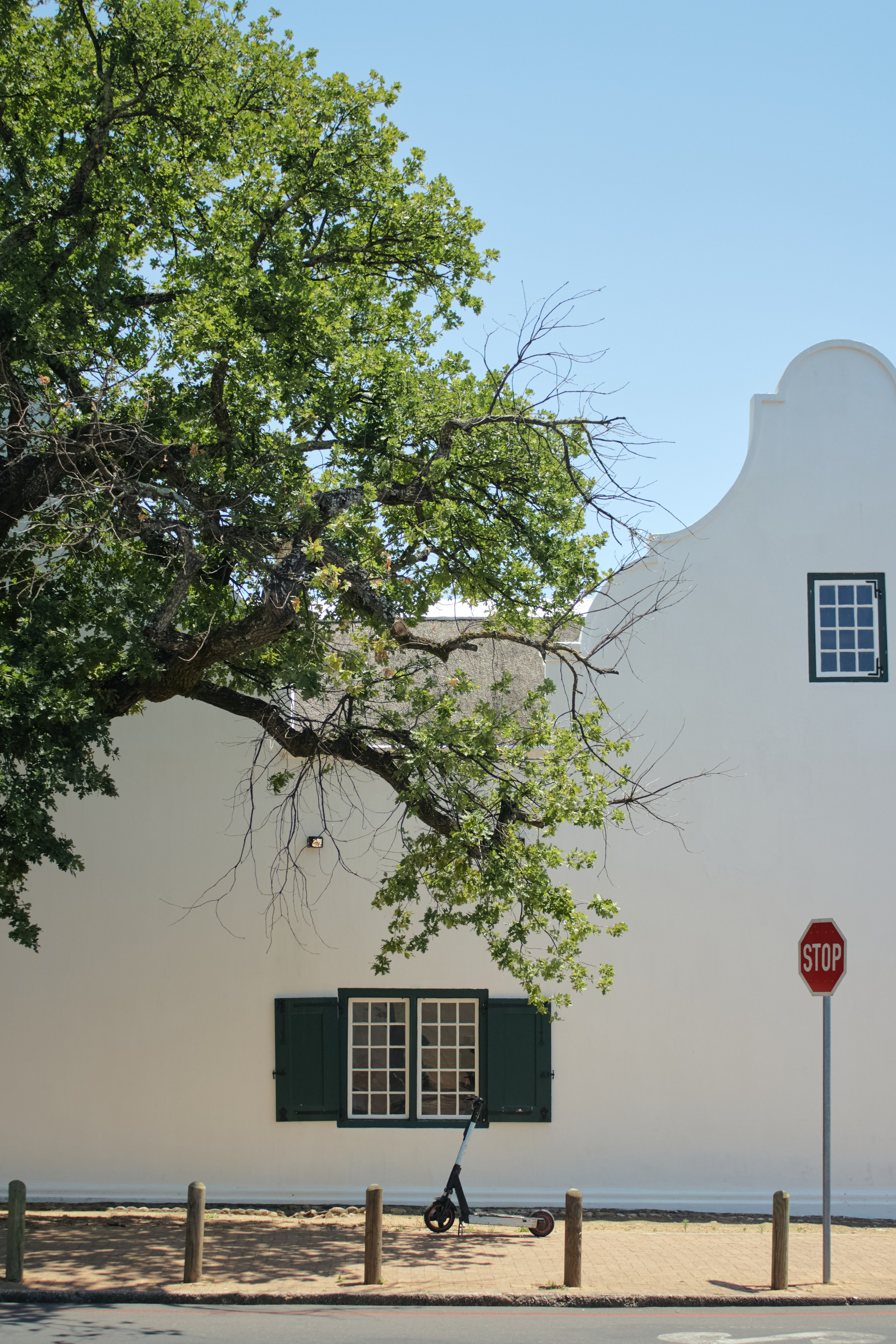 ЮАР. Профессиональный Фотограф во Владимире, в Москве и в Суздале — Полина Романычева