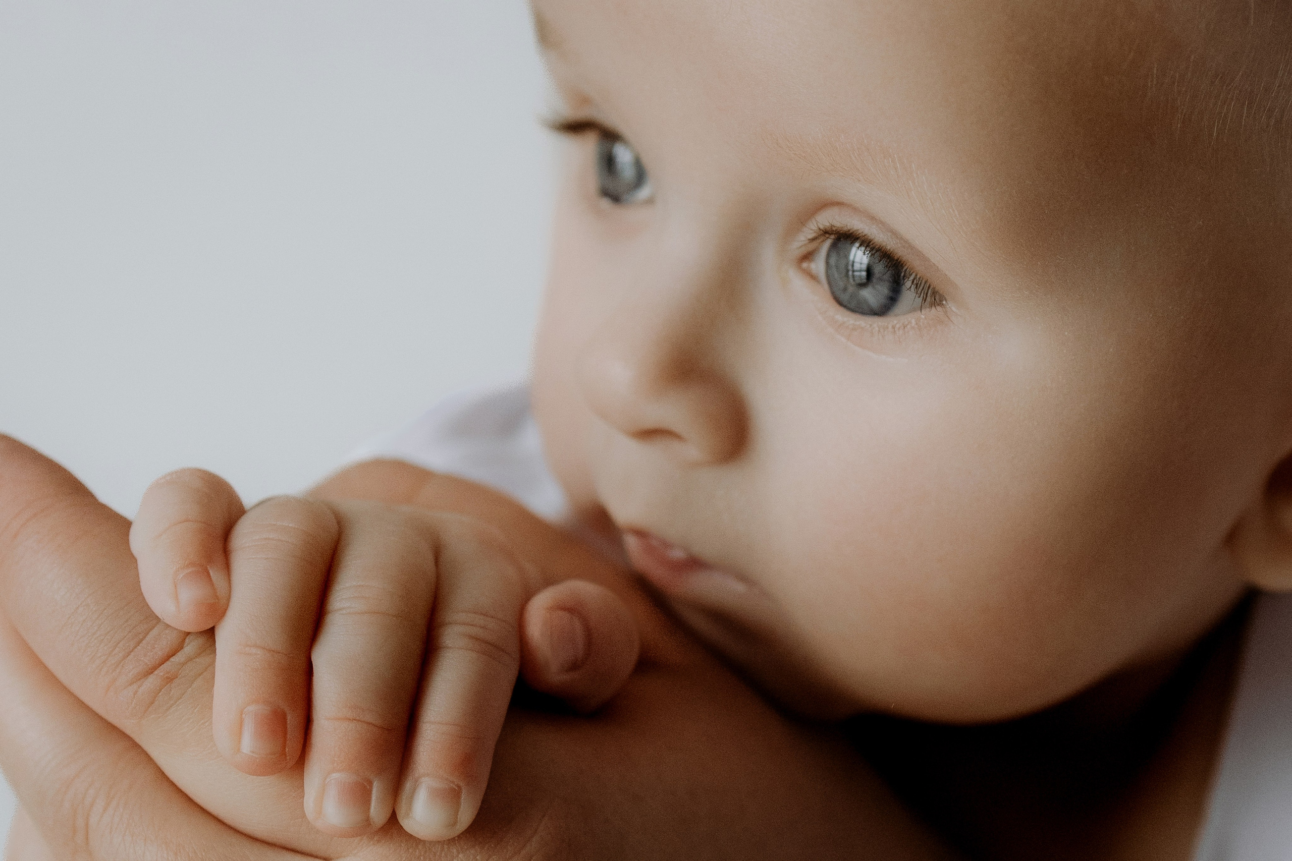 Даниил и Екатерина. Свадебный и семейный фотограф Александр Волосник