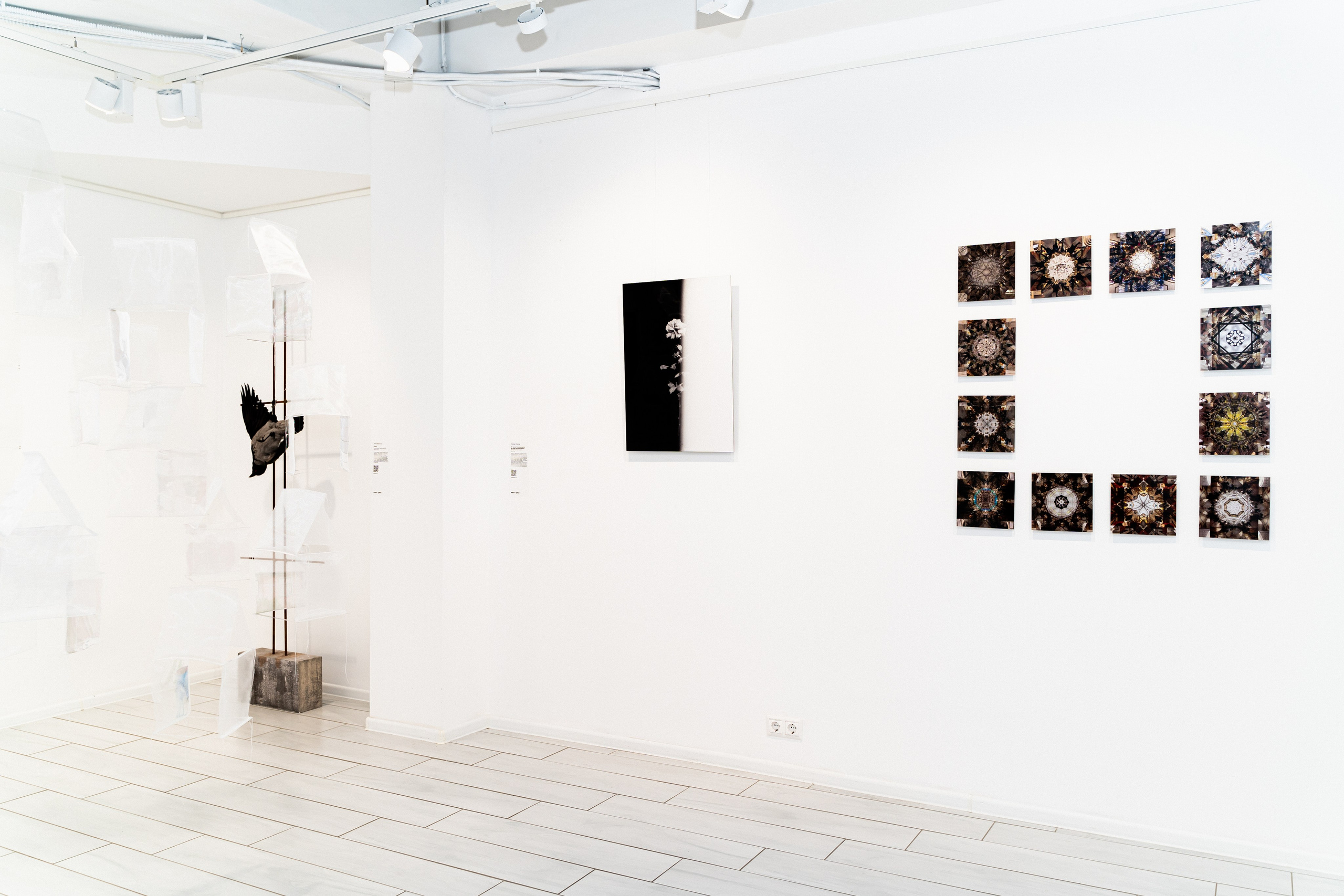 Открытие выставки. Твой фотограф Алина Кочергина