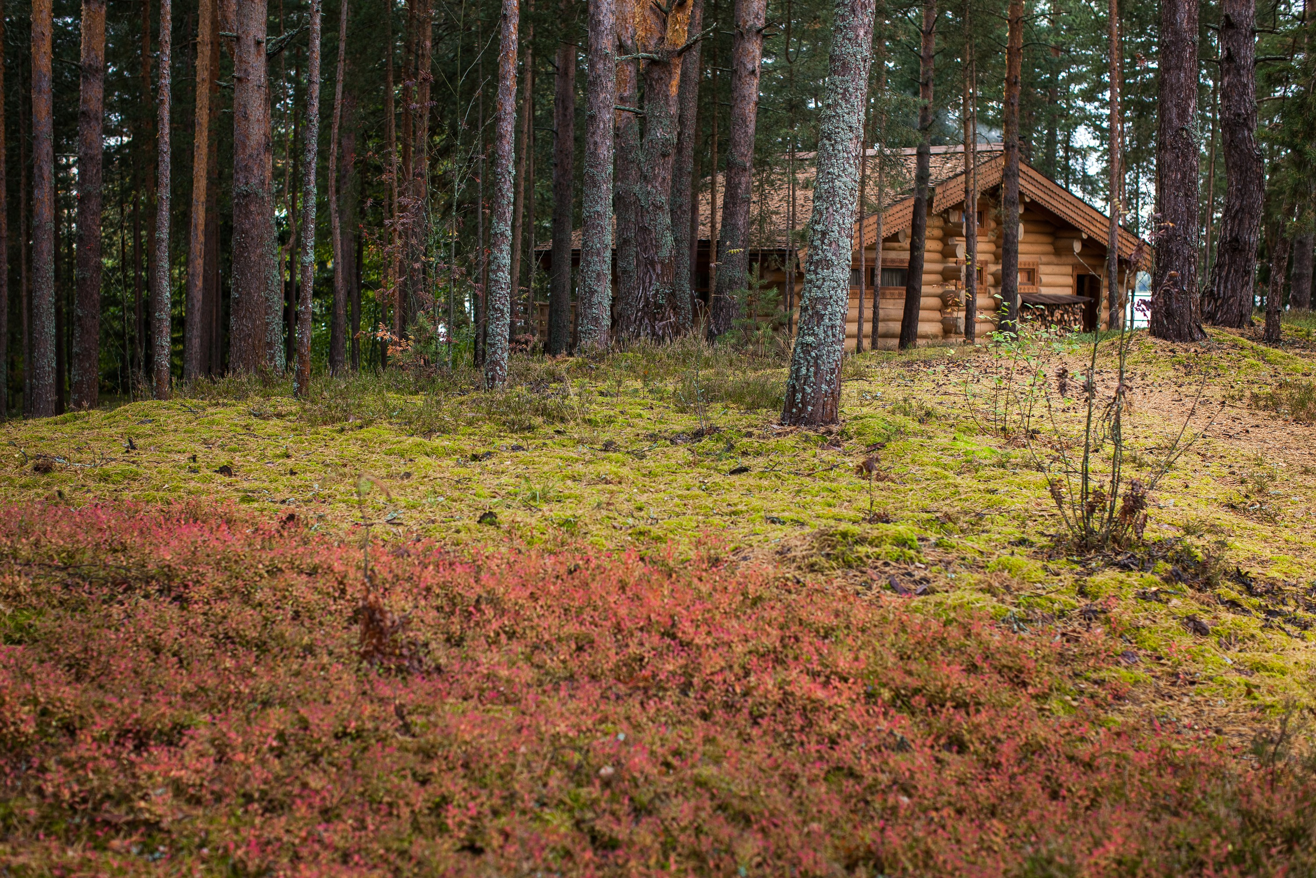Остров «Свободы». Туманов Виталий — фотограф Москва