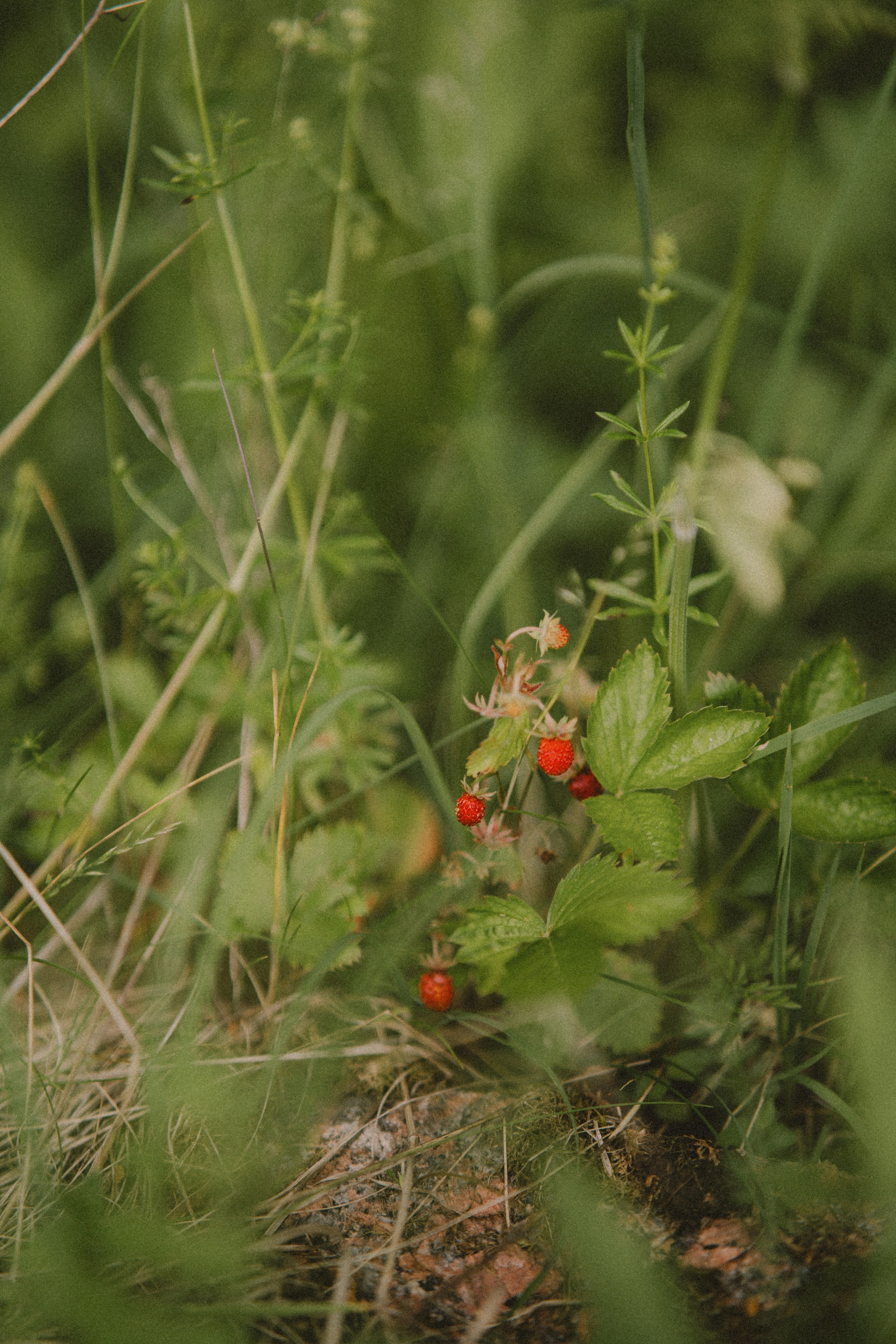 Санкт-Петербург. Фотограф Екатерина Катунова | Москва