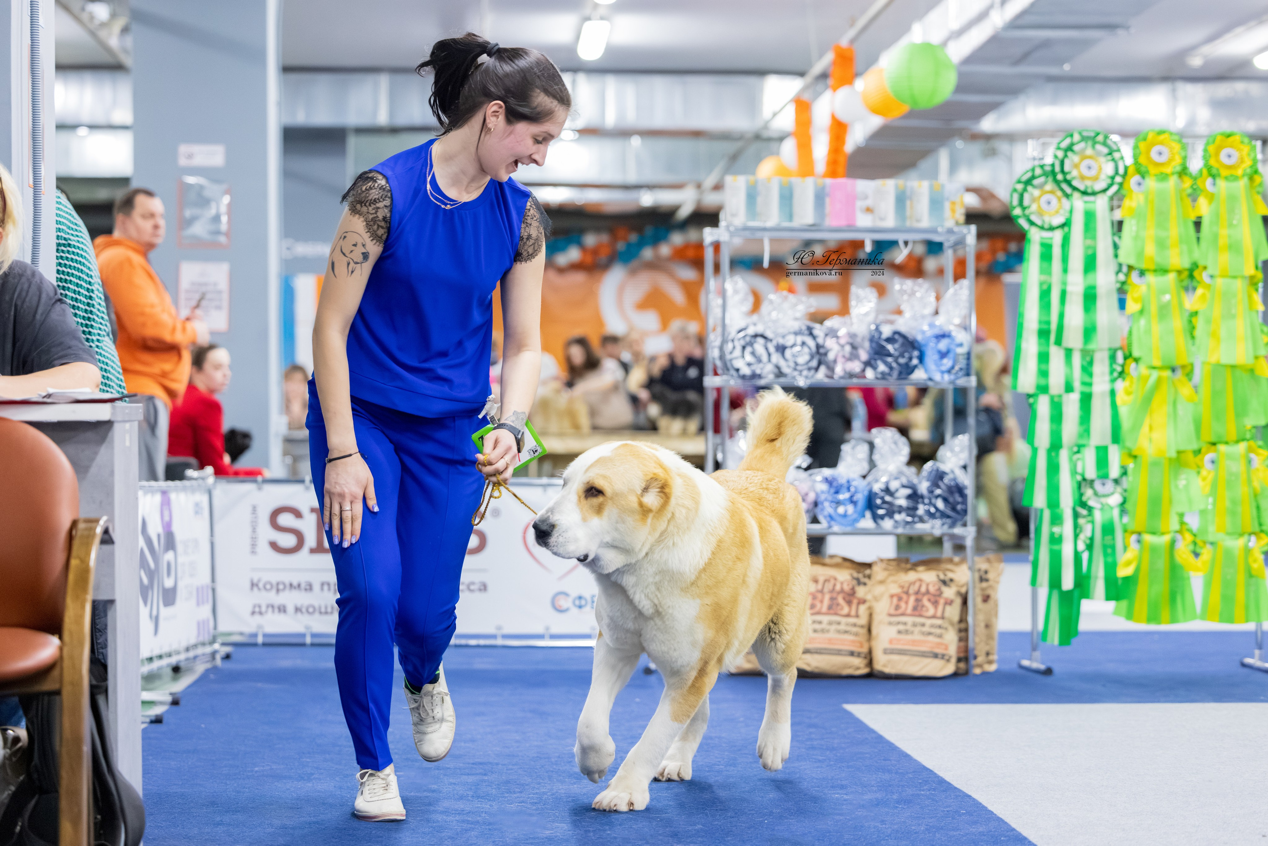 Сфера 08 и 10.03.2024 2хмоно ротвейлеров+2хмоно сао. Фотограф-анималист Юлия Германика