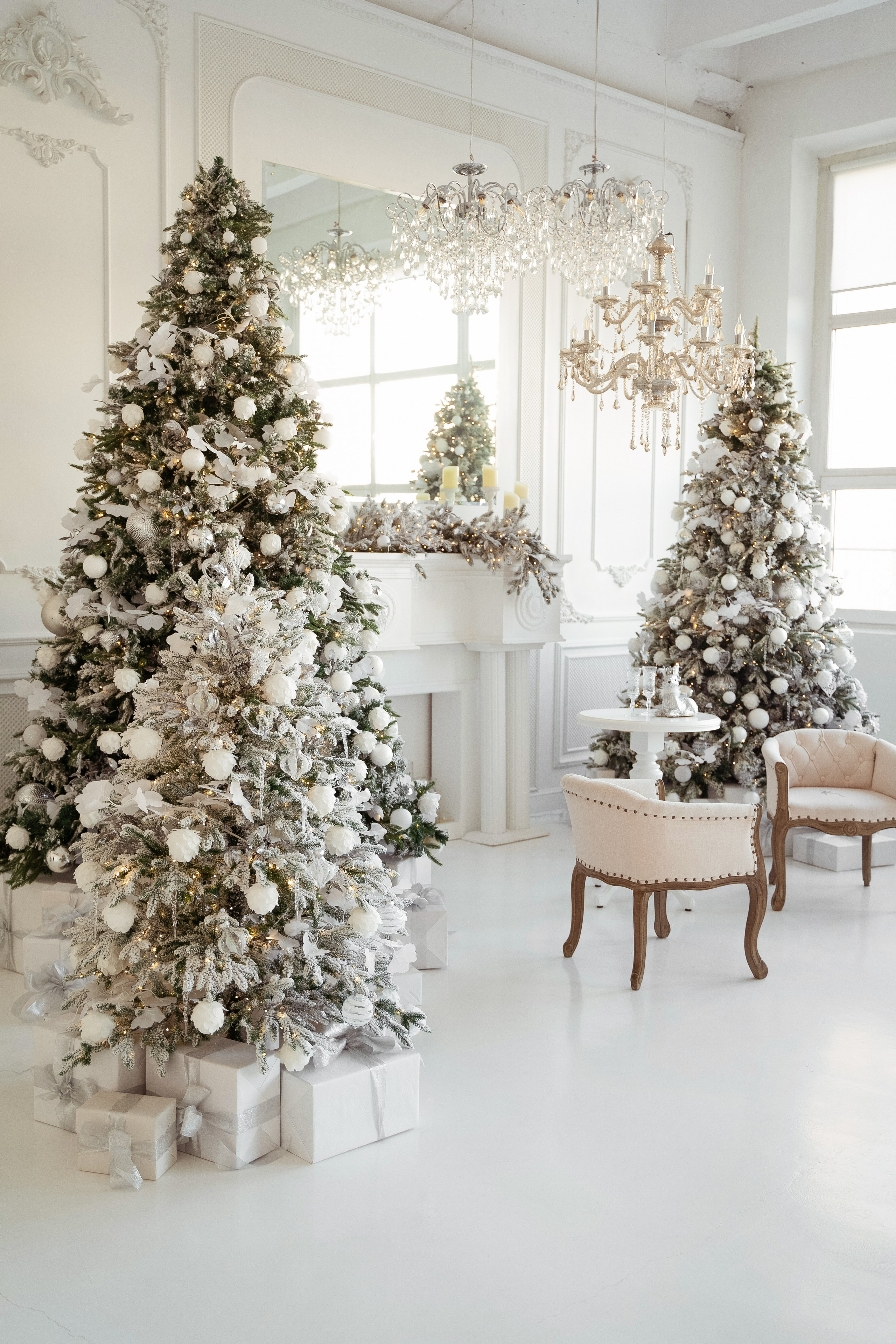 Фотостудии новый год 2025. Профессиональный фотограф Максим Романов в городе Хабаровске