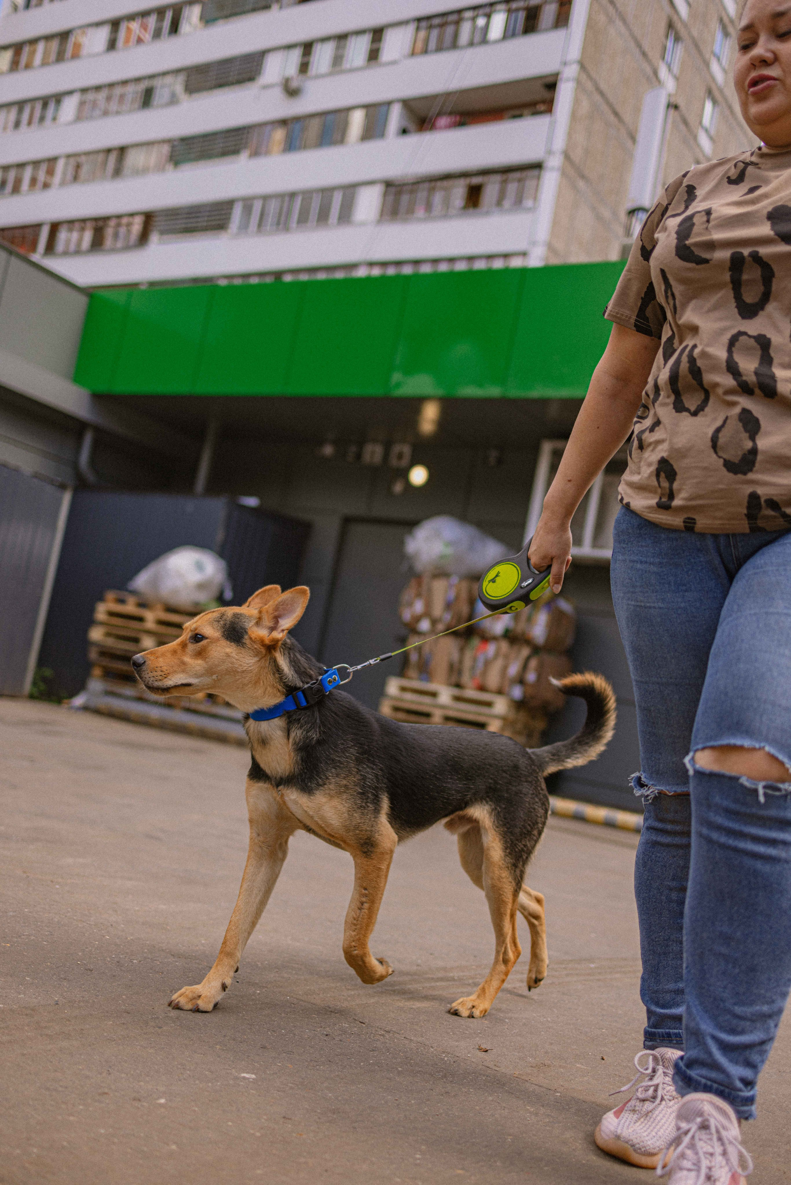 Джеки. Фотограф-анималист в Москве Лера Черноног