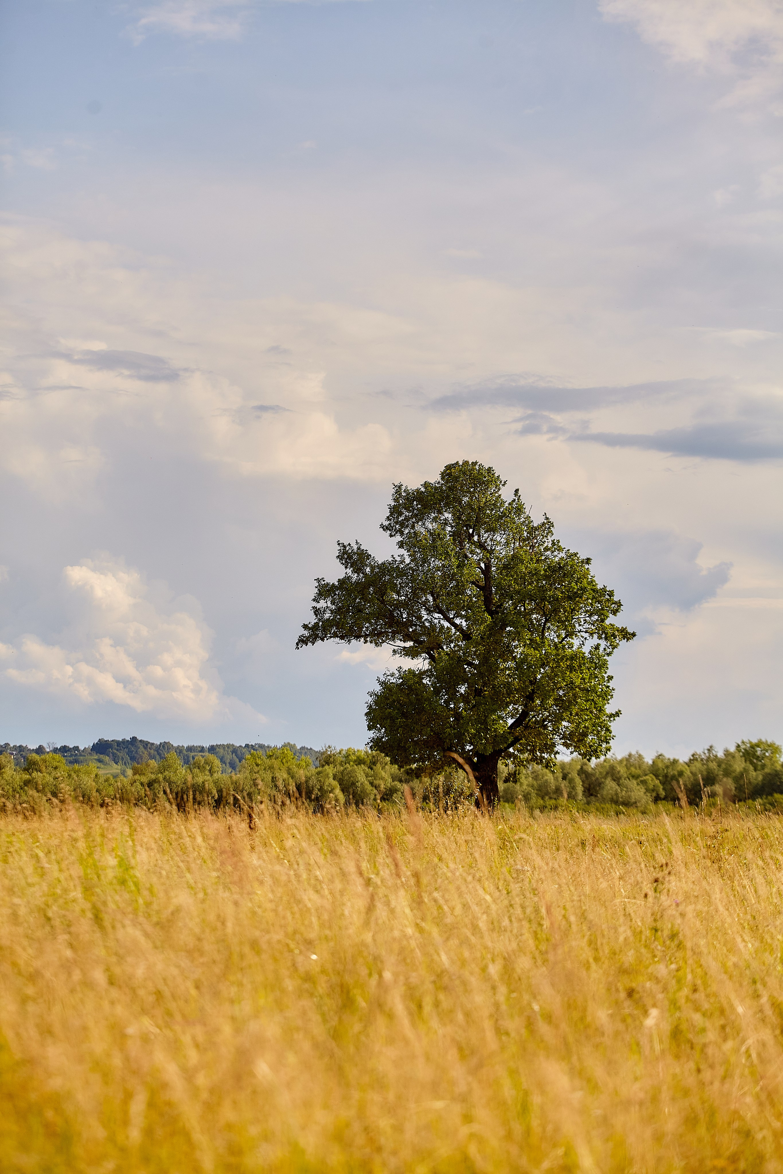 Фотокадры и фотографии зданий и строений