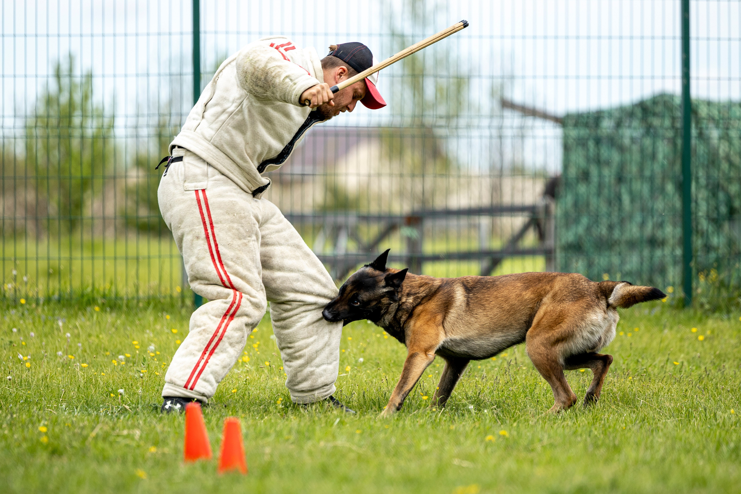 Испытания по мондьорингу в Нижнем Новгороде. Фотограф-анималист Анна Маринич