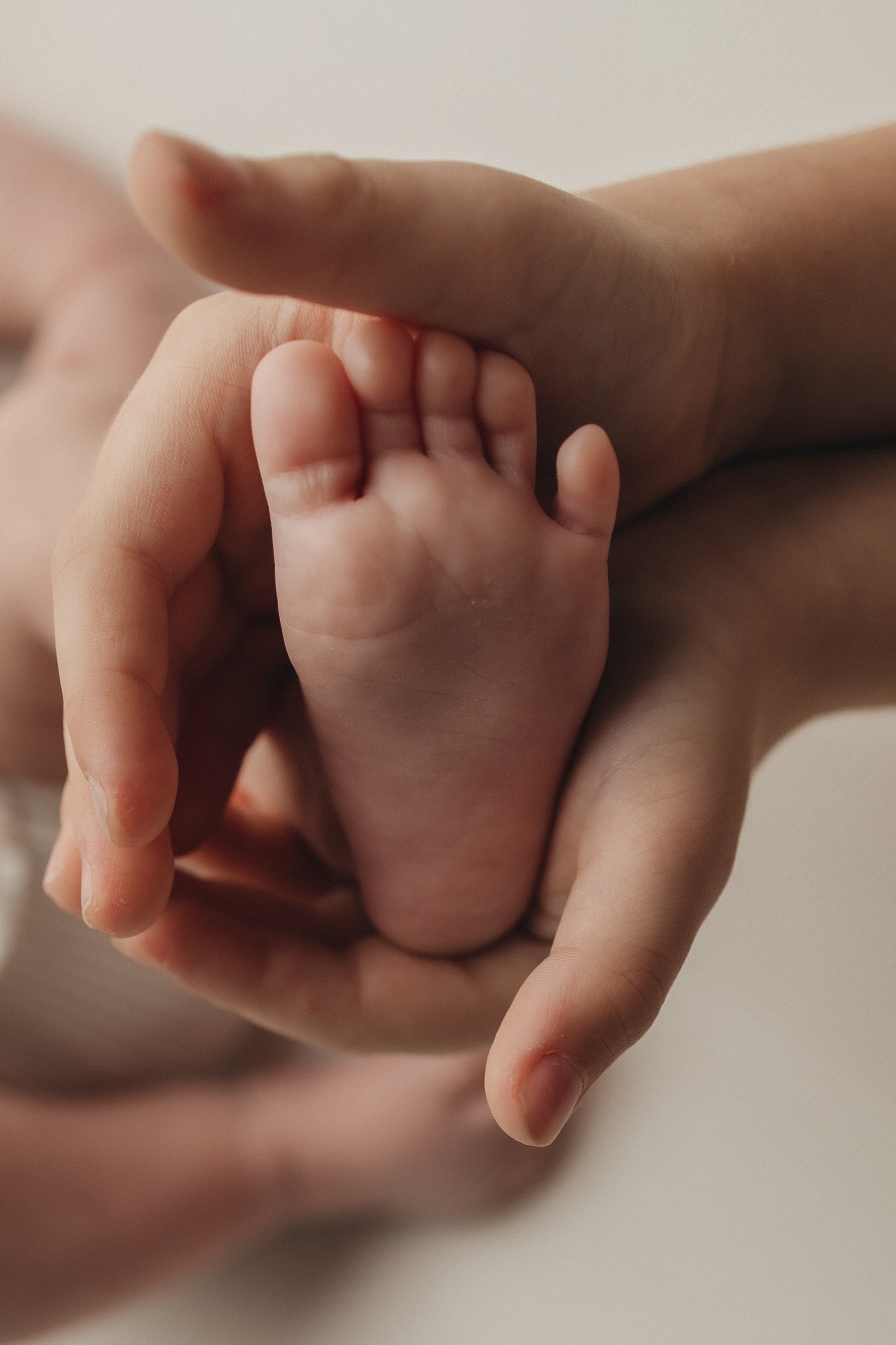 ПАКЕТ «Simple». Главная