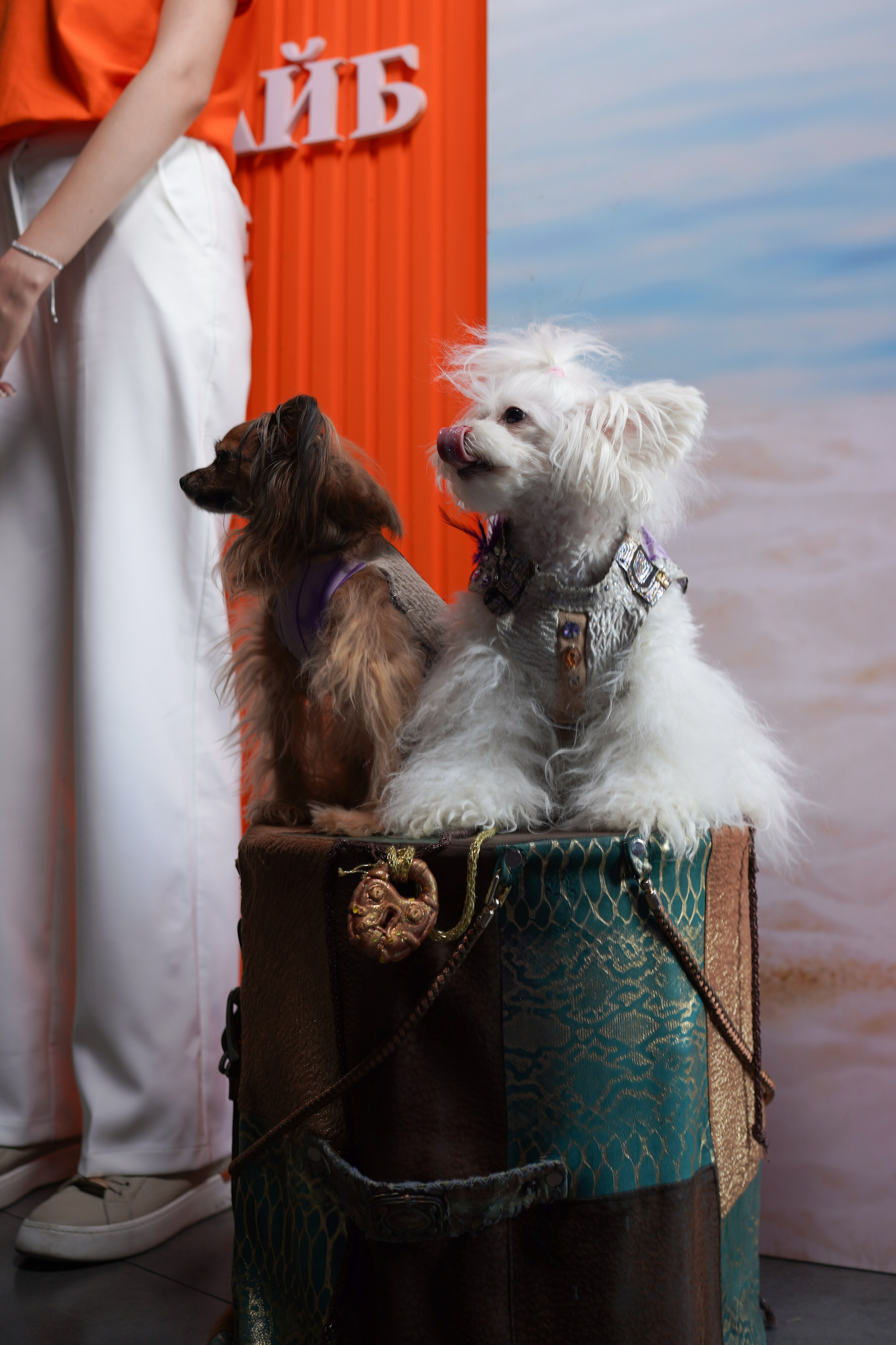 Summer Brunch — Ресторан MOOD