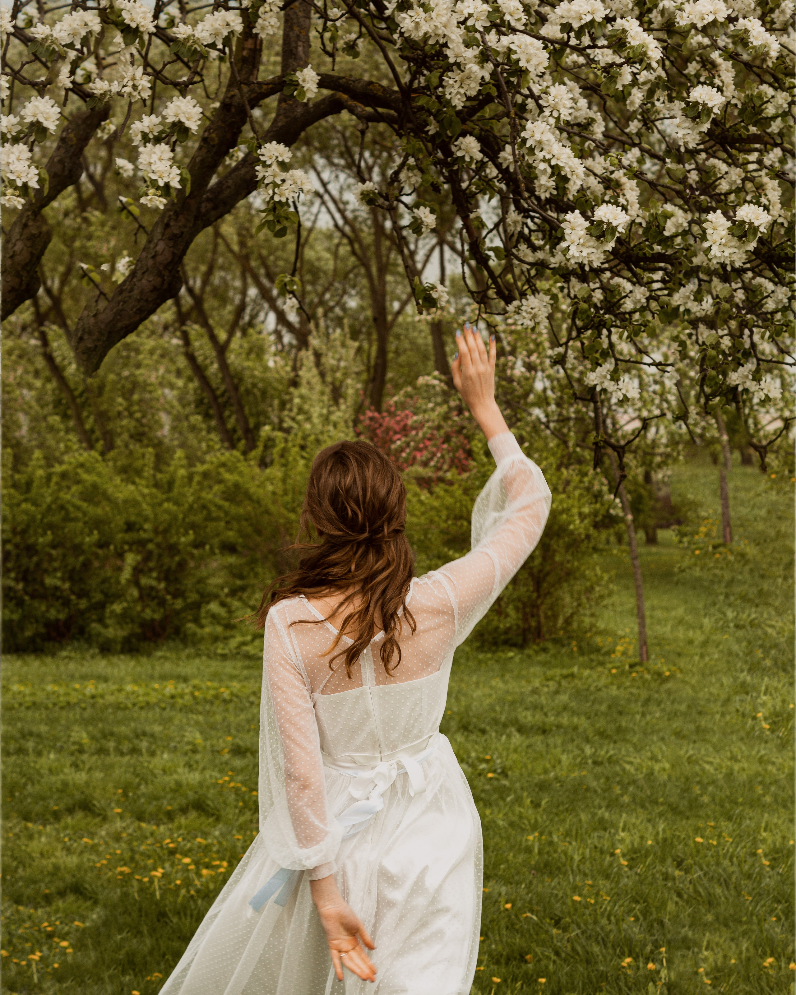 Цветение яблонь и вишни / Свадебная