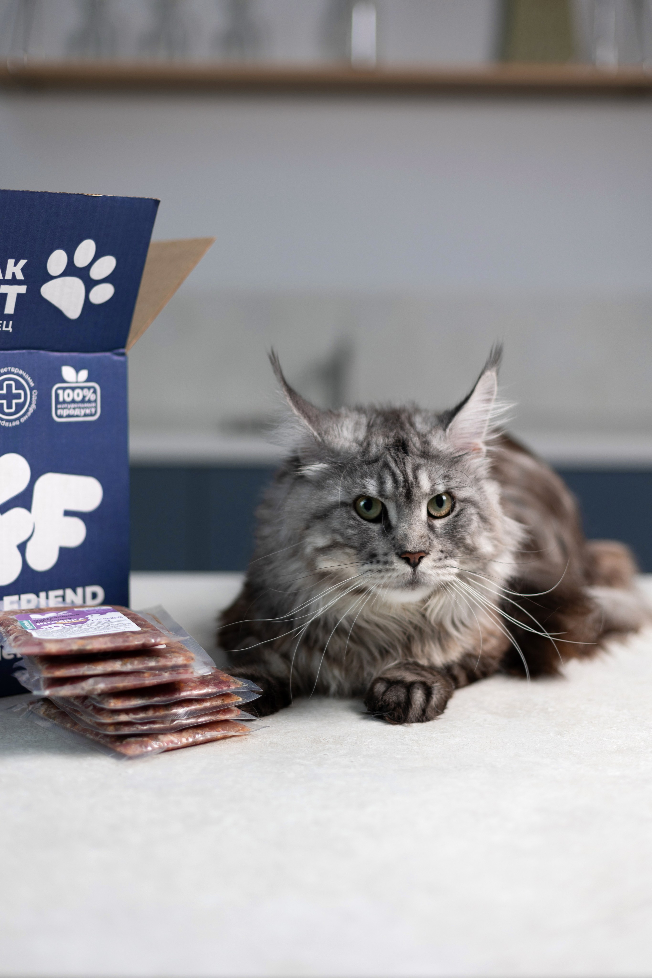 Best for friend (BFF). Фотограф анималист Кристина Карпова, Москва