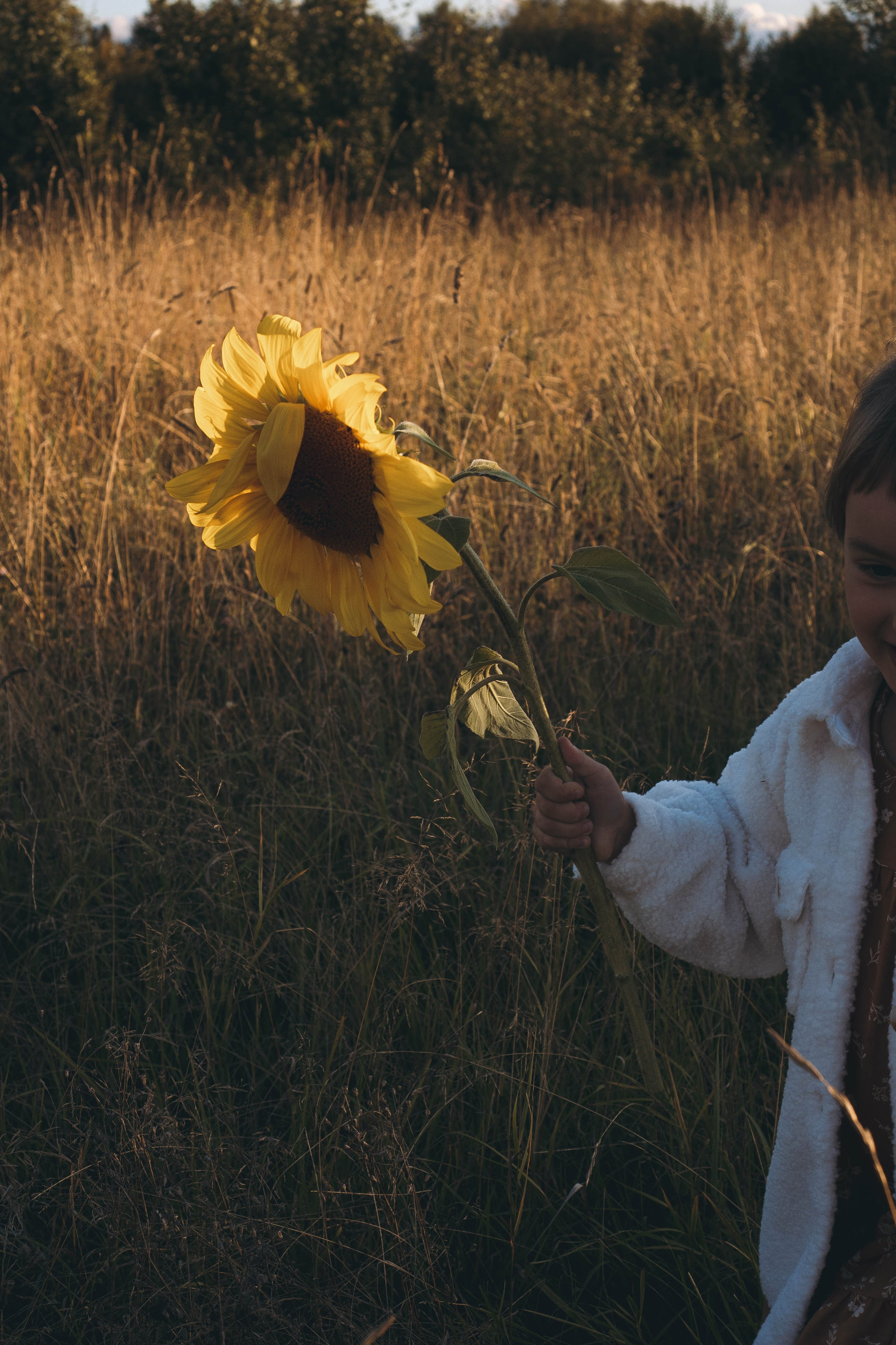 Семейная серия. Профессиональный фотограф, Санкт-Петербург — Виктория Богомолова