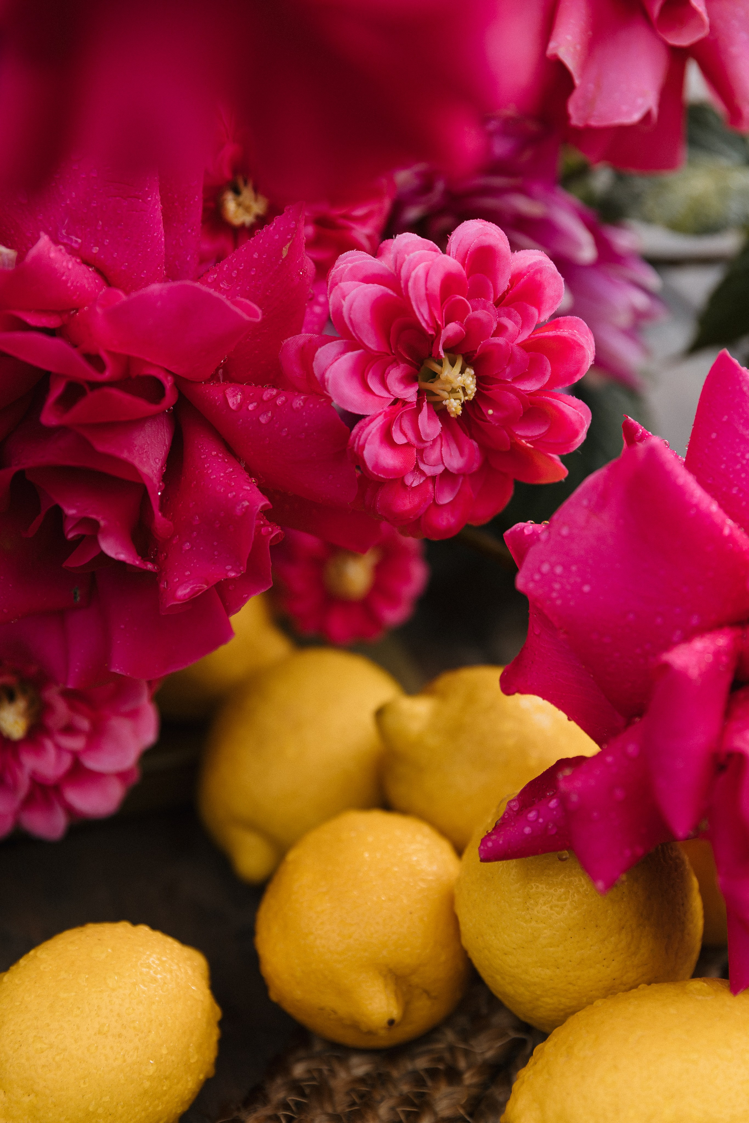 Ciao, amore mio!. Э Т О М Ы