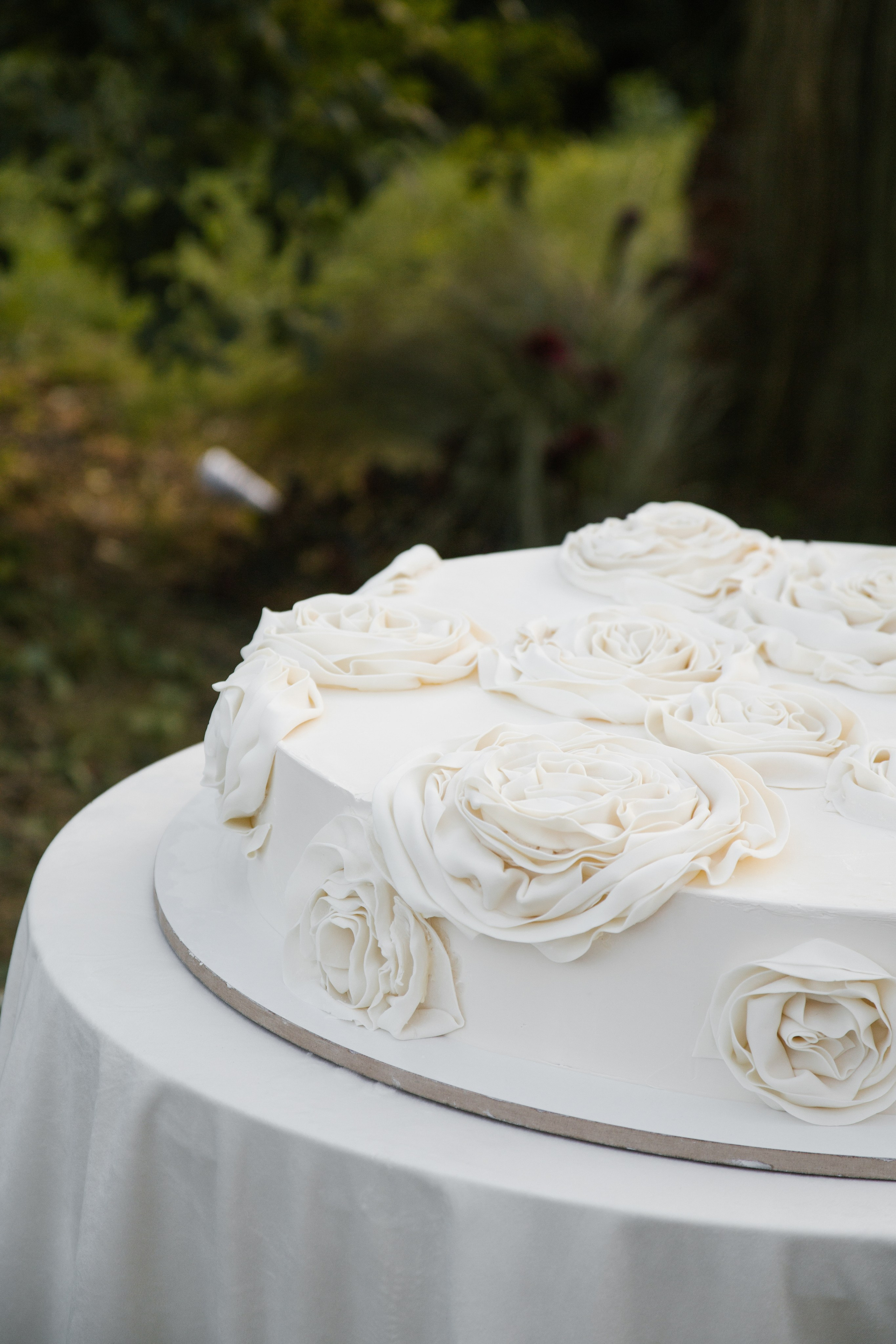 Вероника и Дмитрий. ФОТОГРАФ АЛИНА ФОКА