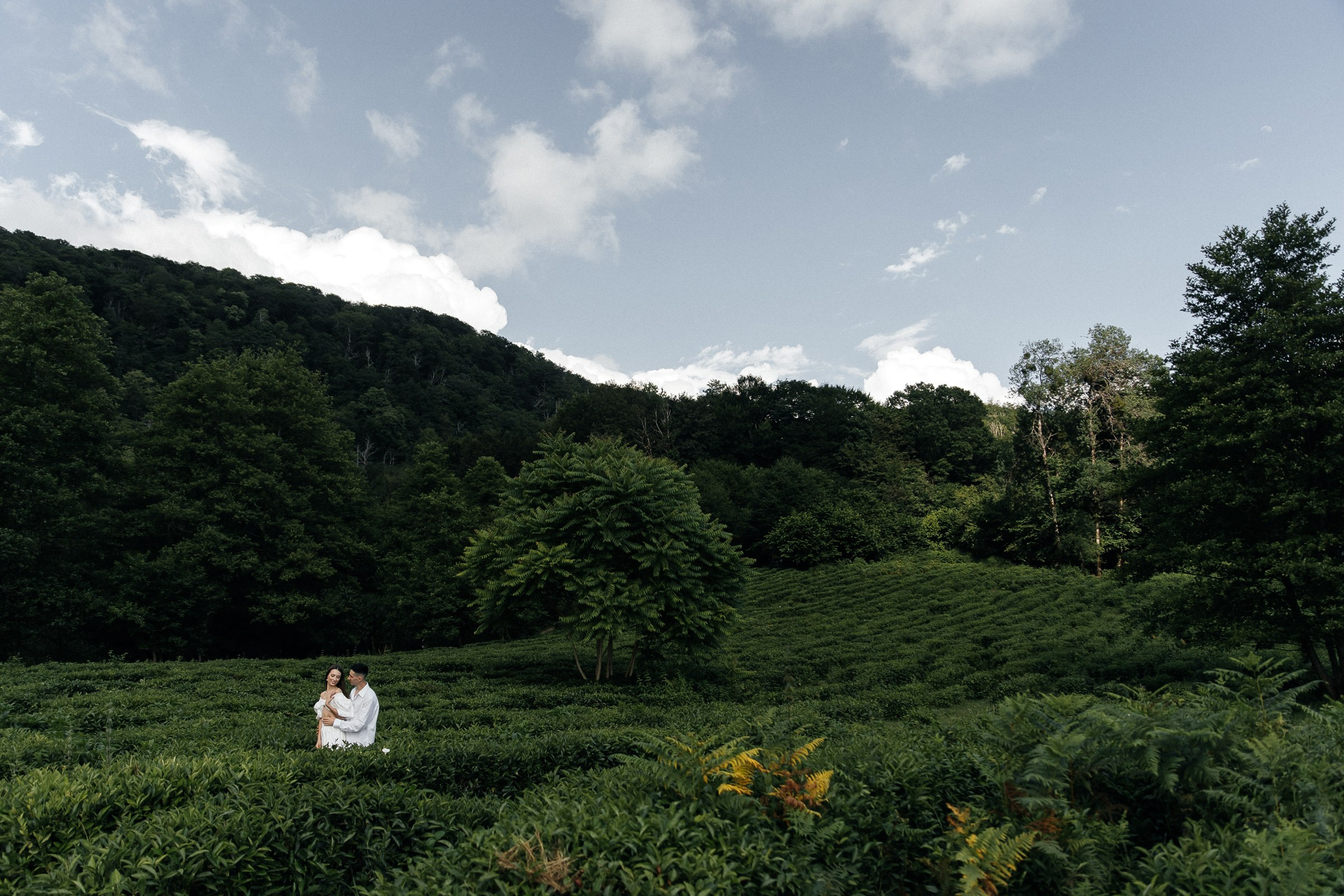 Он, она и слоны. Свадебный фотограф в Ростове-на-Дону