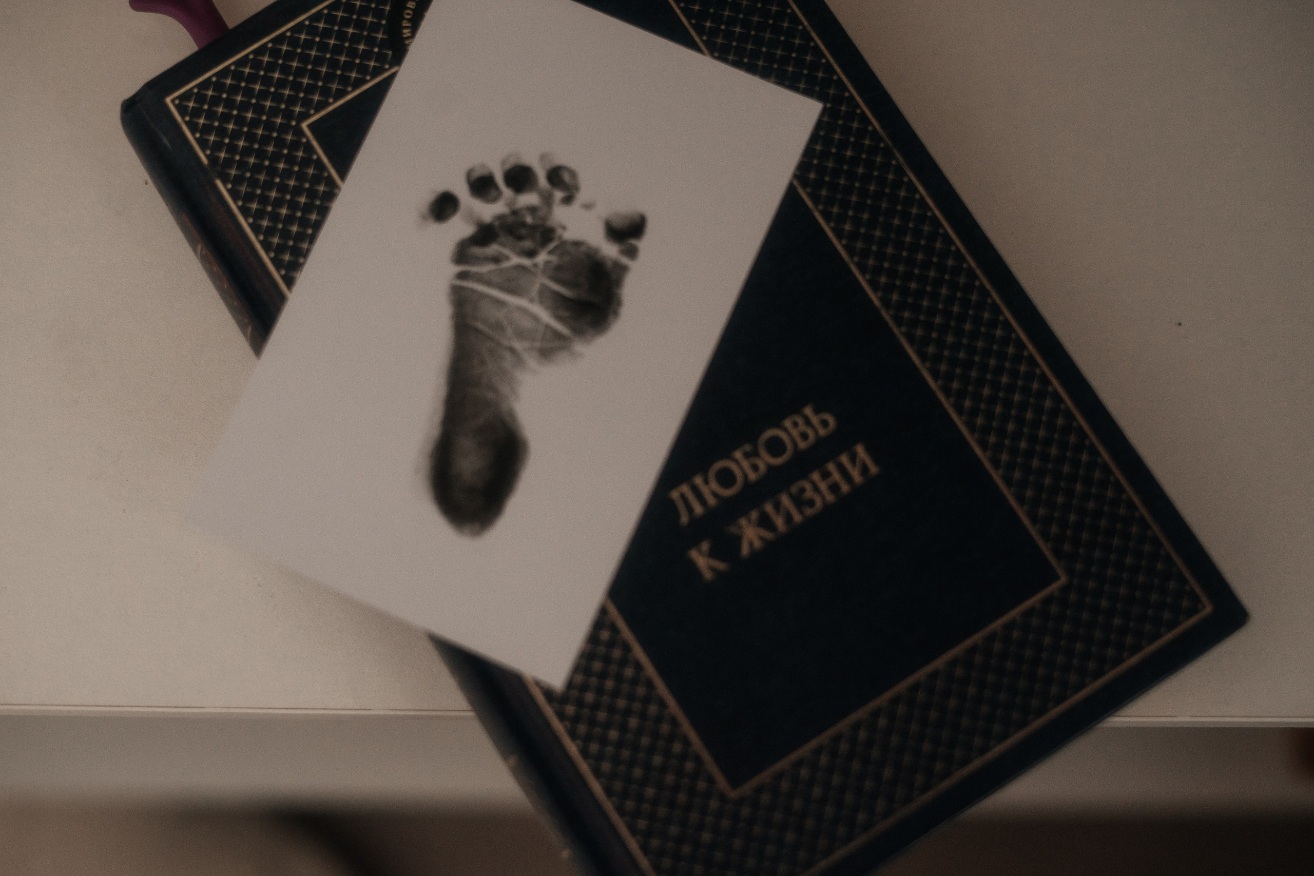 Любовь к жизни. Портретный и семейный фотограф Ксения Казанцева