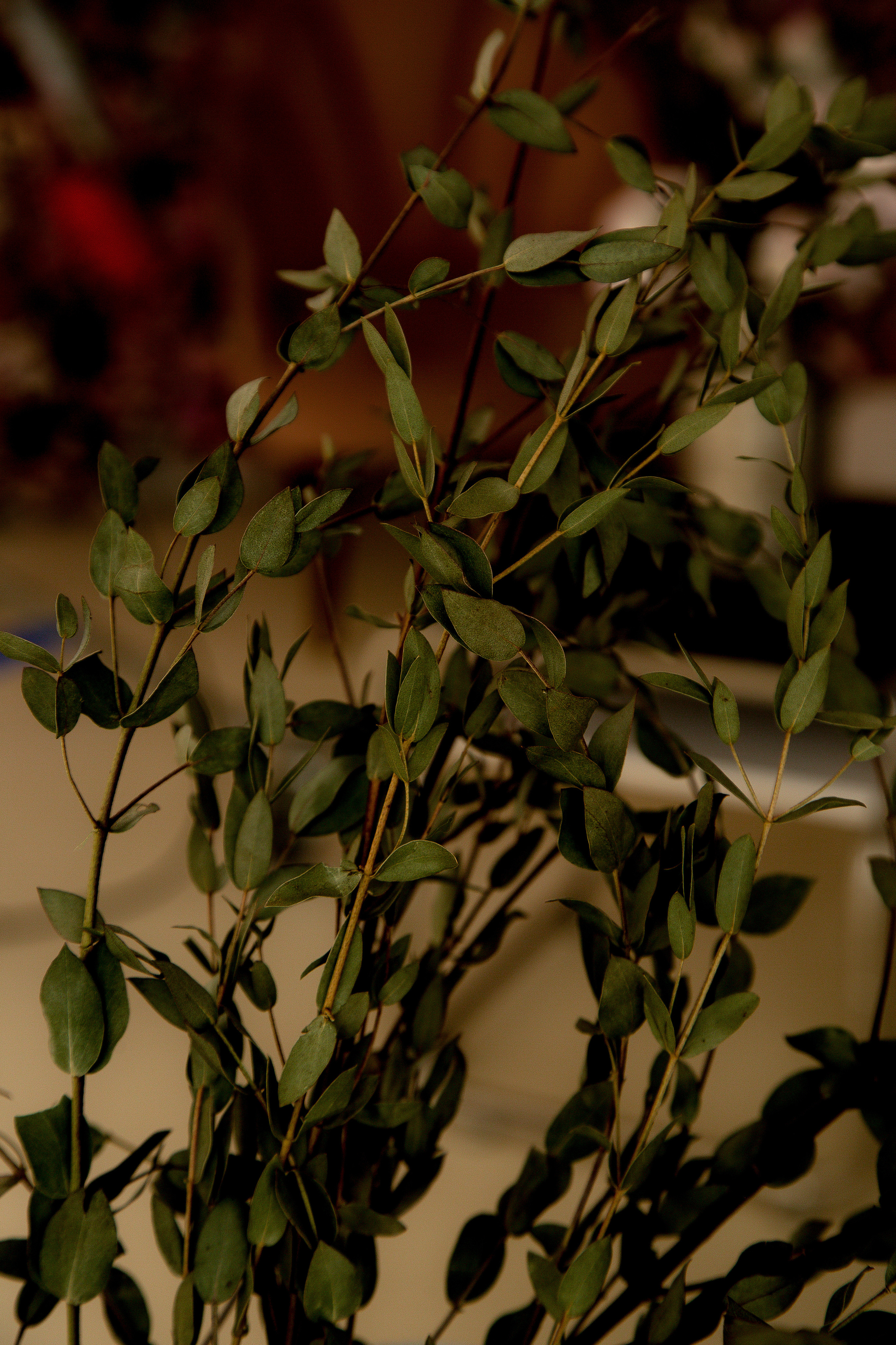 Дарья. Anna Gidros — профессиональный фотограф