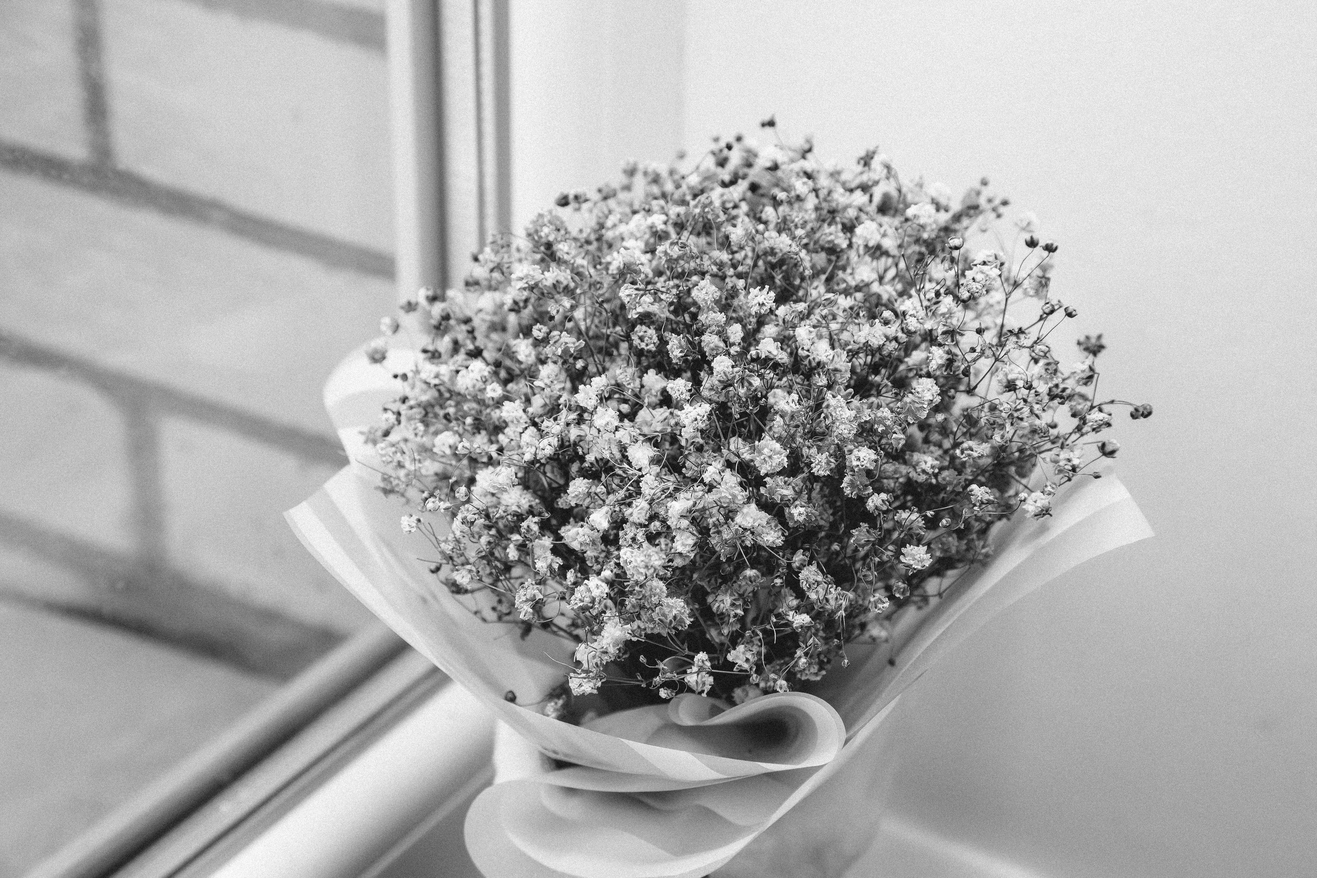 Домашние кадры. Anna Gidros — профессиональный фотограф