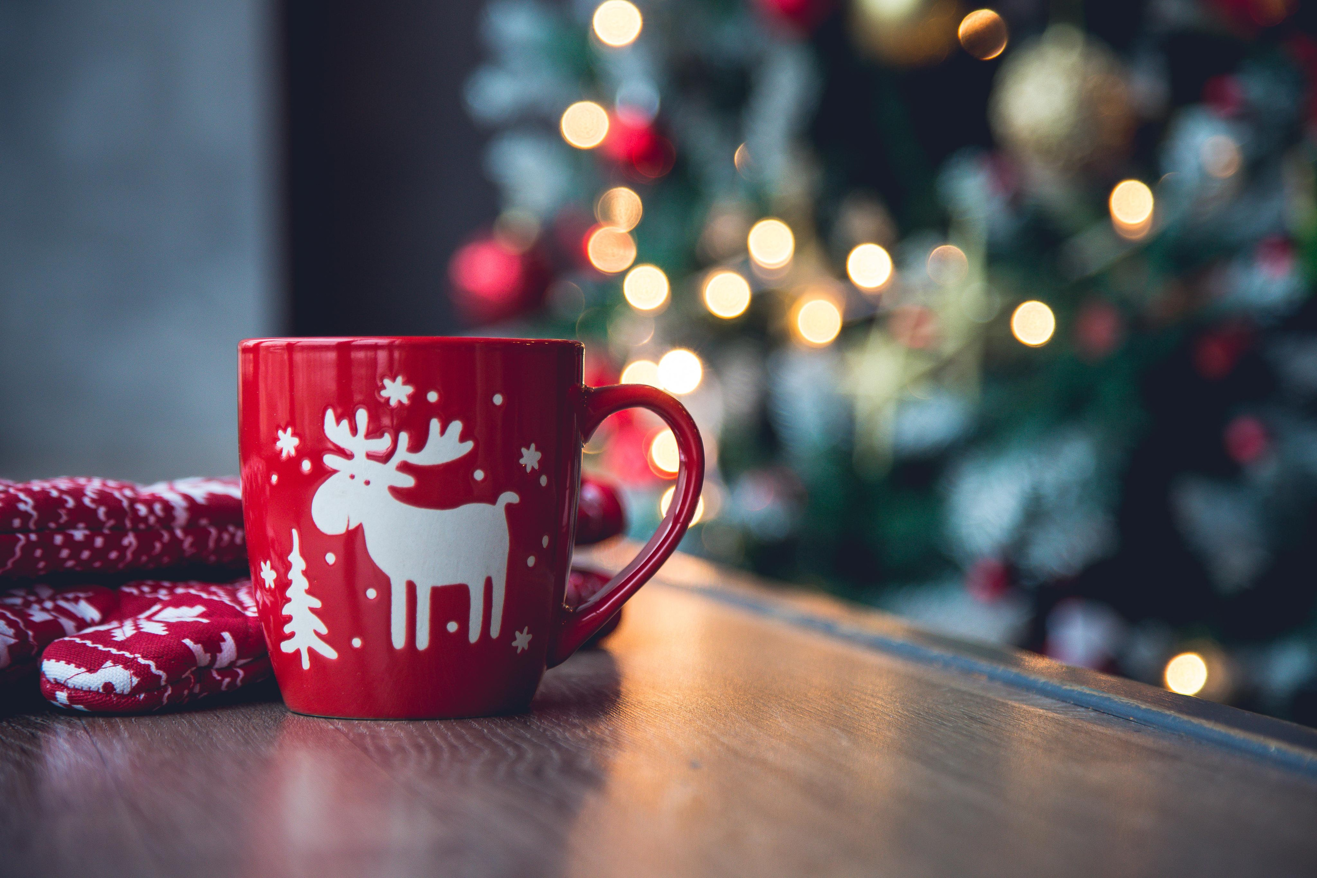 Настенька. Anna Gidros — профессиональный фотограф