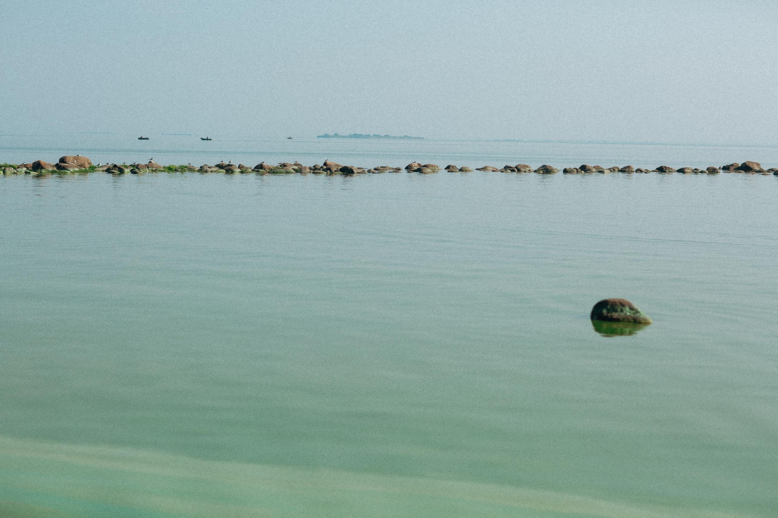 Семейные летние дни. Anna Gidros — профессиональный фотограф