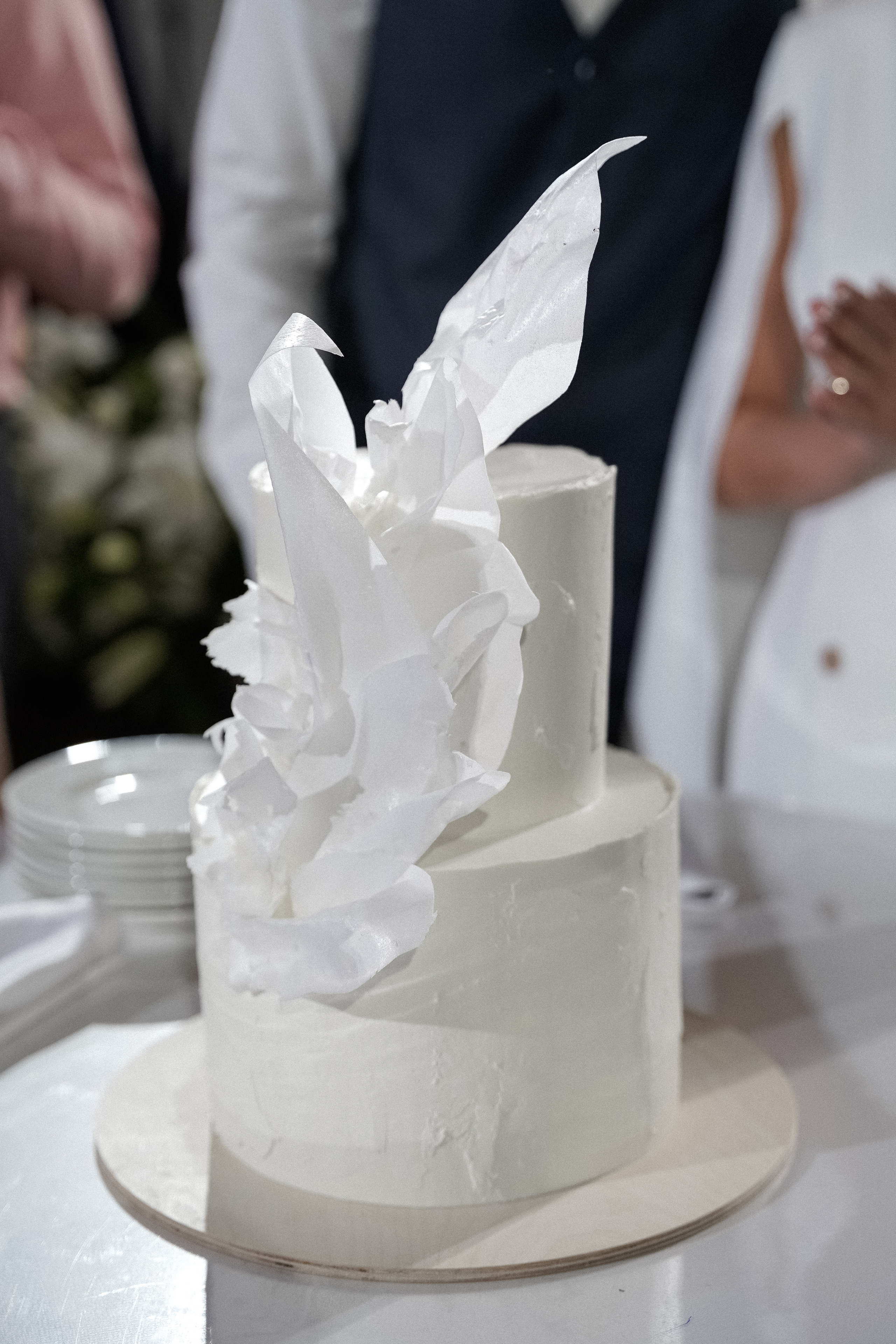 Свадьба в Геленджике. VISUAL ARTIST · KRONGAUZ ANASTASIA