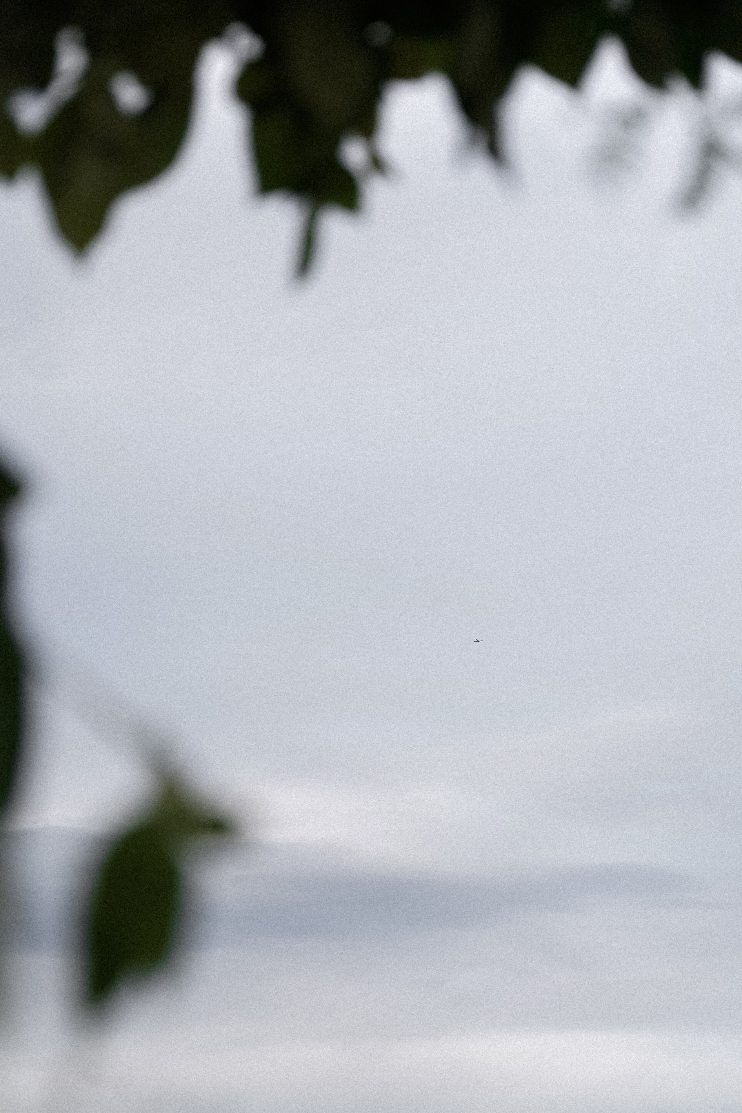 Свадьба в Геленджике. VISUAL ARTIST · KRONGAUZ ANASTASIA