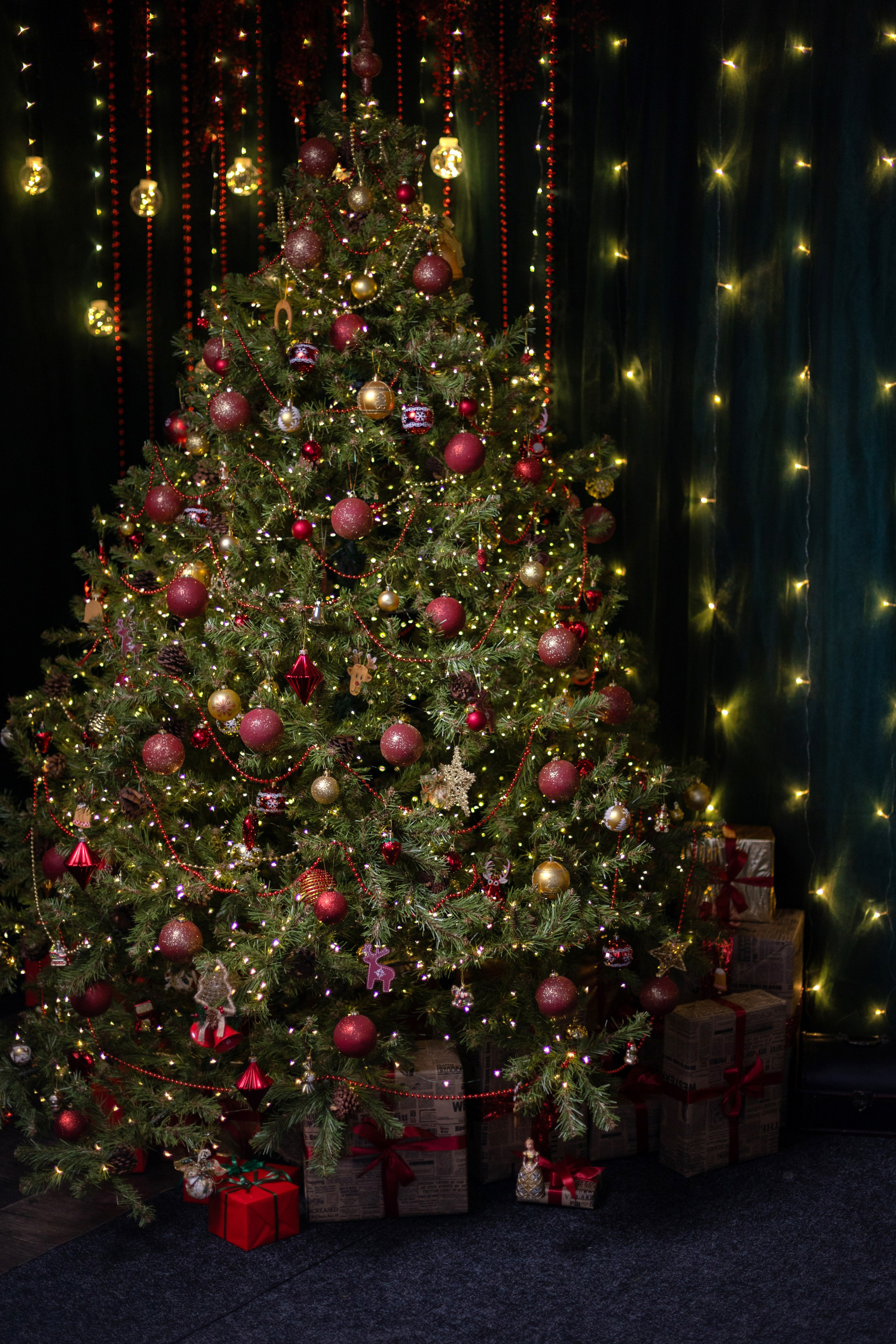 Новогоднее пространство IRBIS для уютных фото и видео