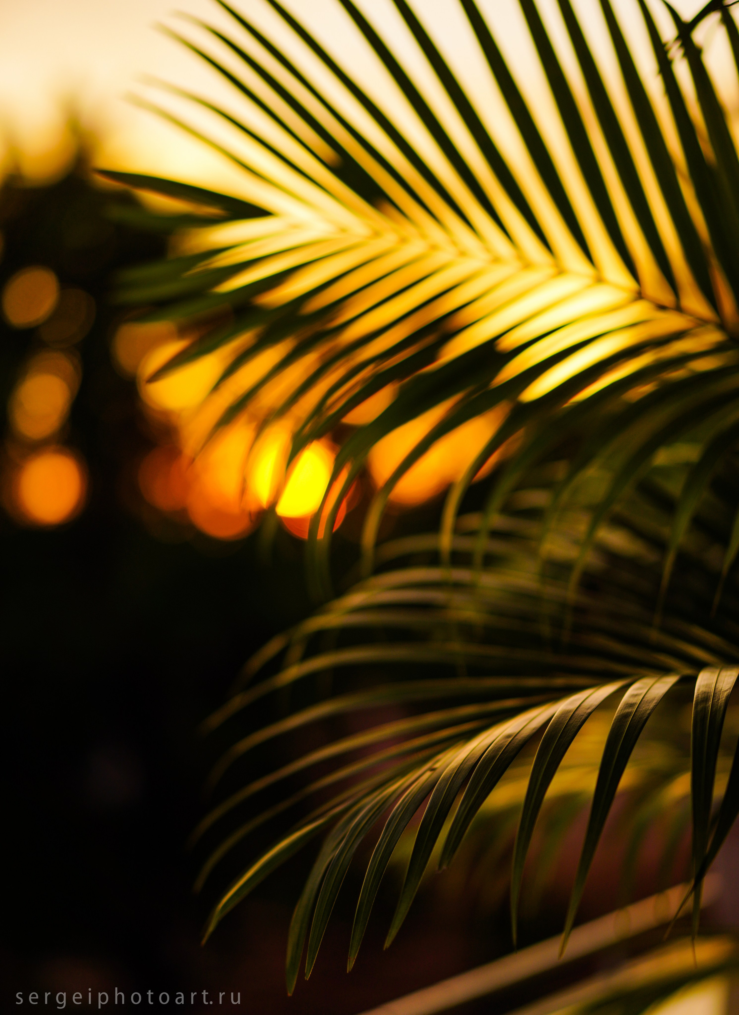 Phu Quoc Photographer Photoshoots. Фотограф Сергей Кишкель Фукуок Камрань Нячанг Дананг