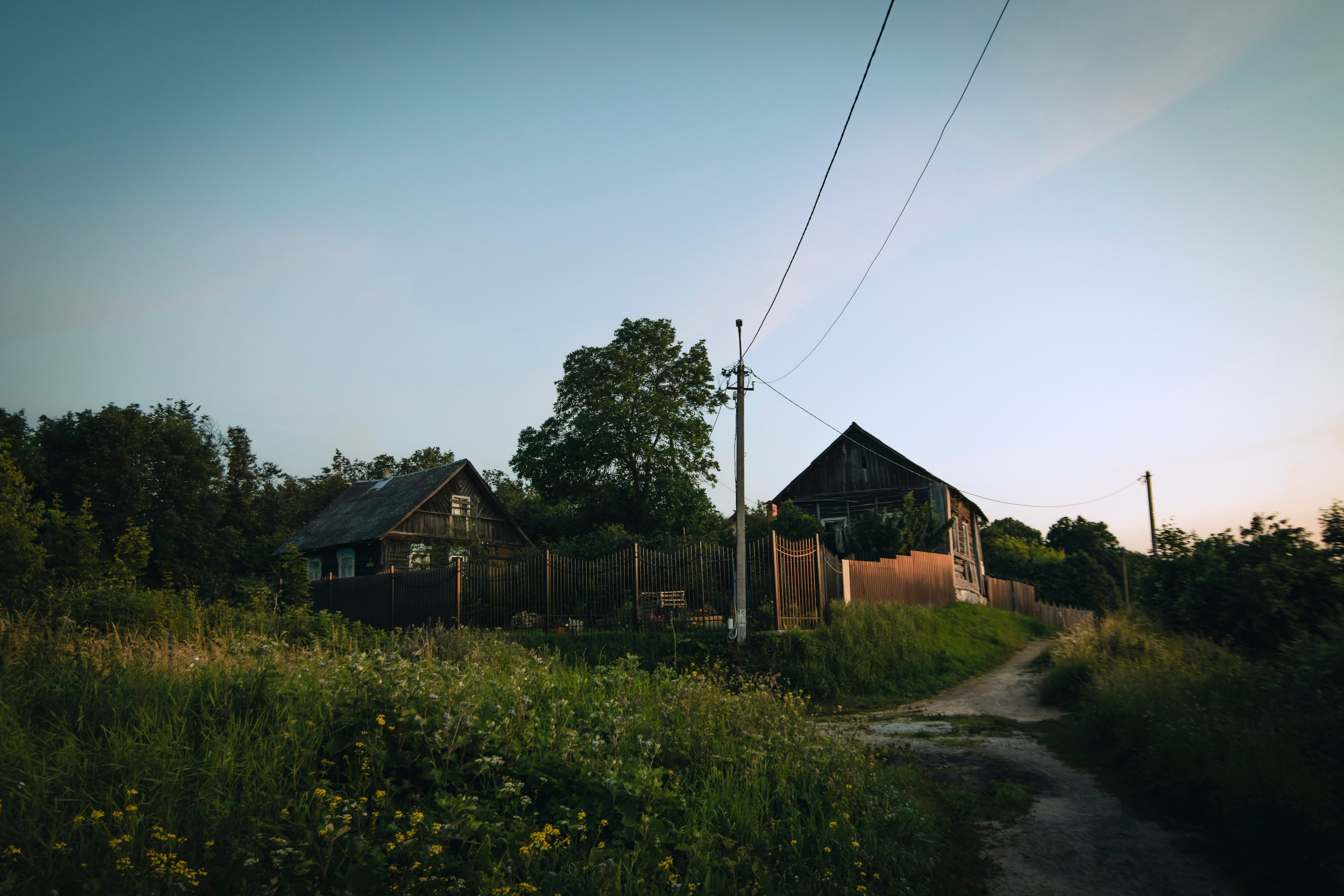 Из наблюдений. Плак или Квак