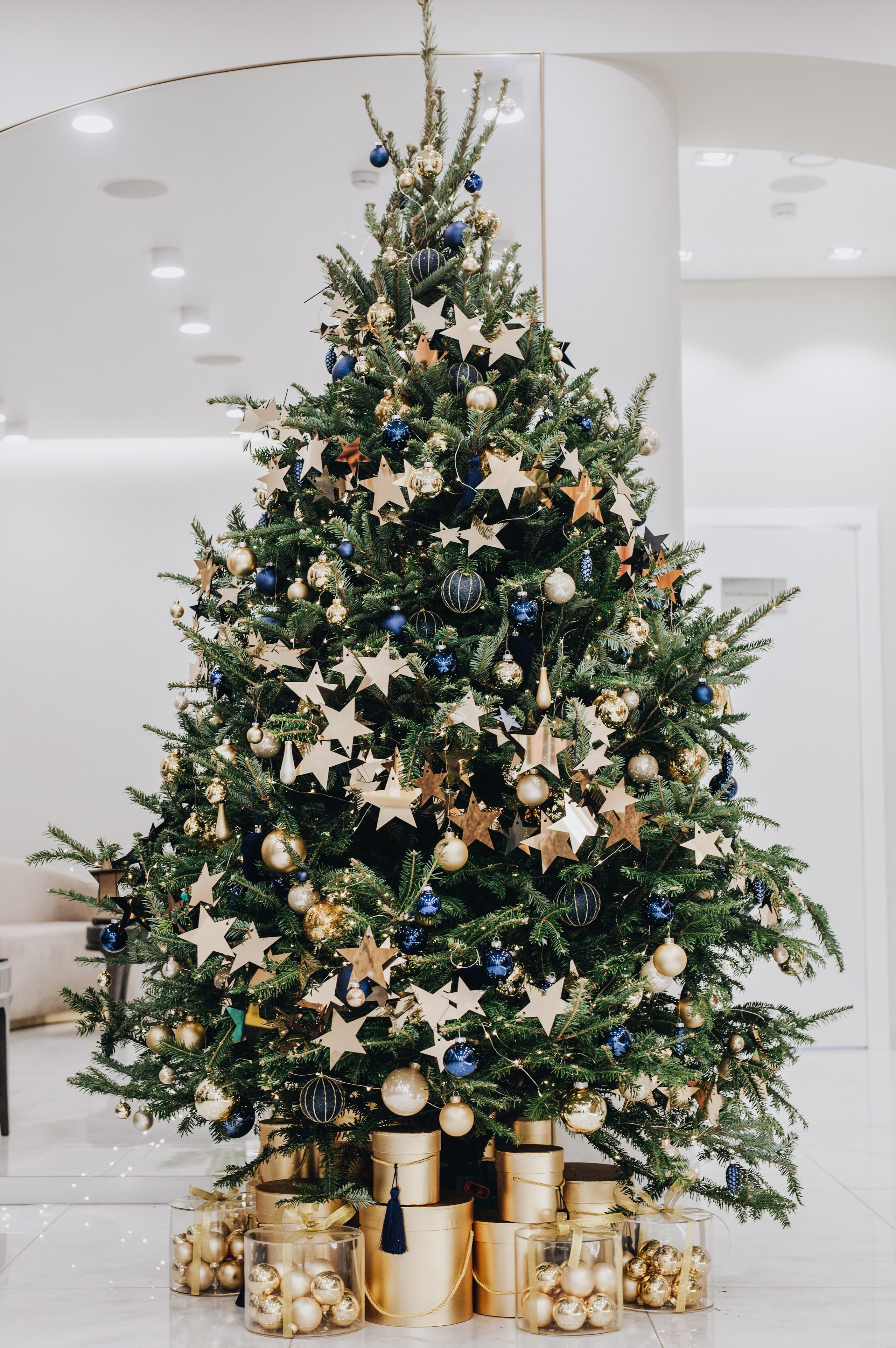 Тисс 2023. Ксения Почтарь. Декоратор и флорист, город Владивосток